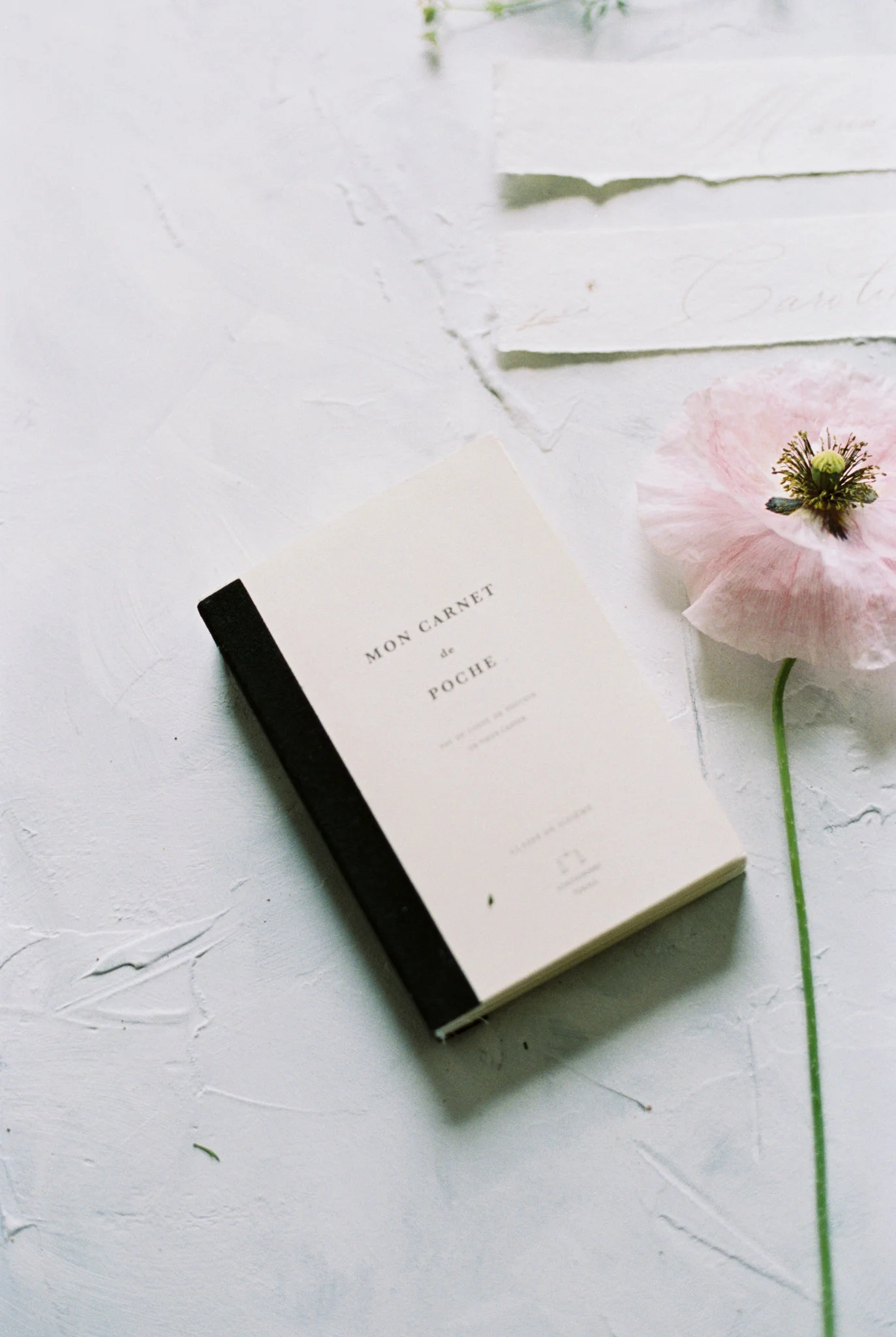 caroline koehler photography