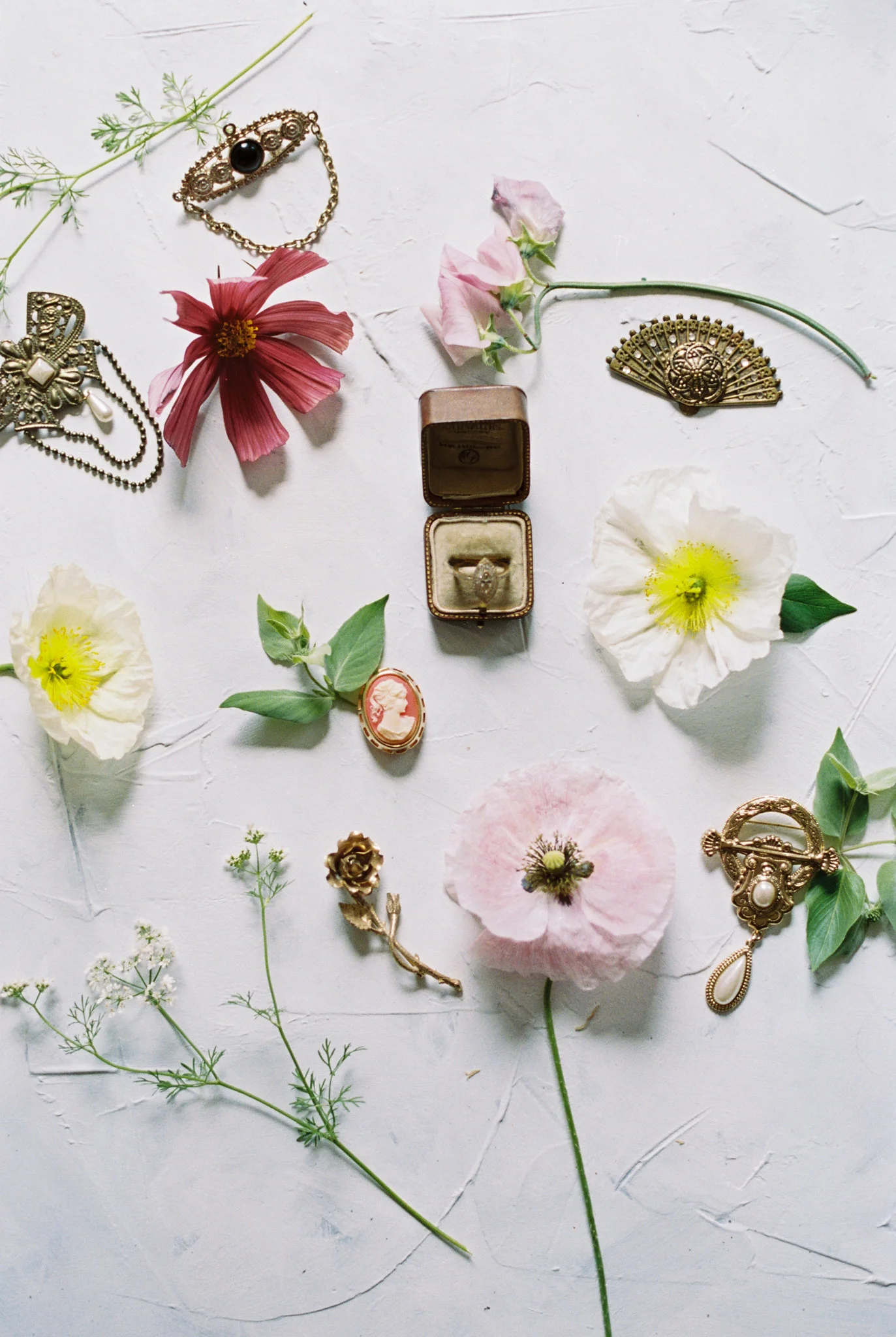 caroline koehler photography