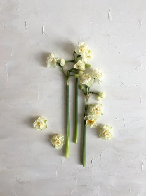 Bridal Crown 