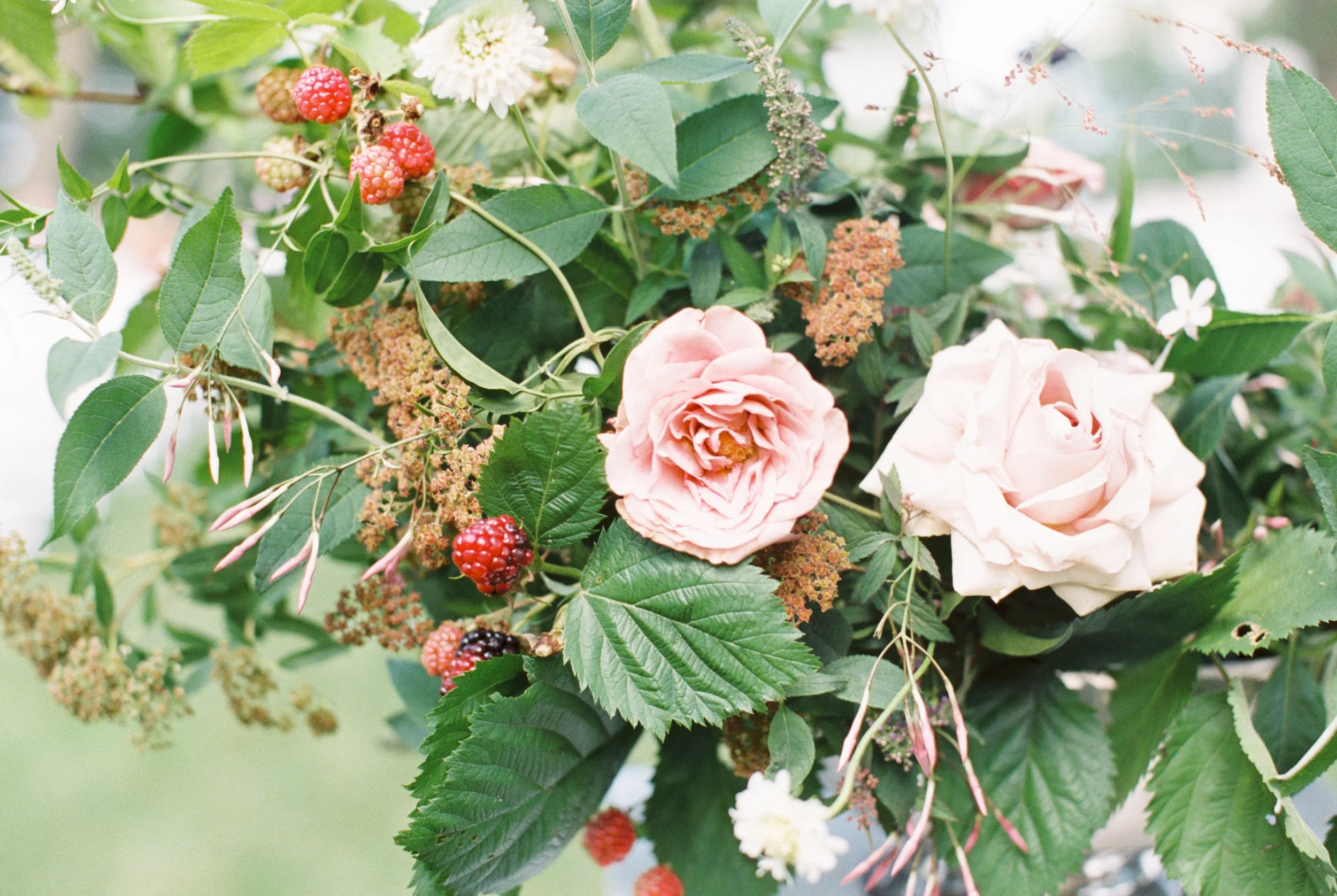 nicoleclarey_jenna+casey_ceremony-13.jpg