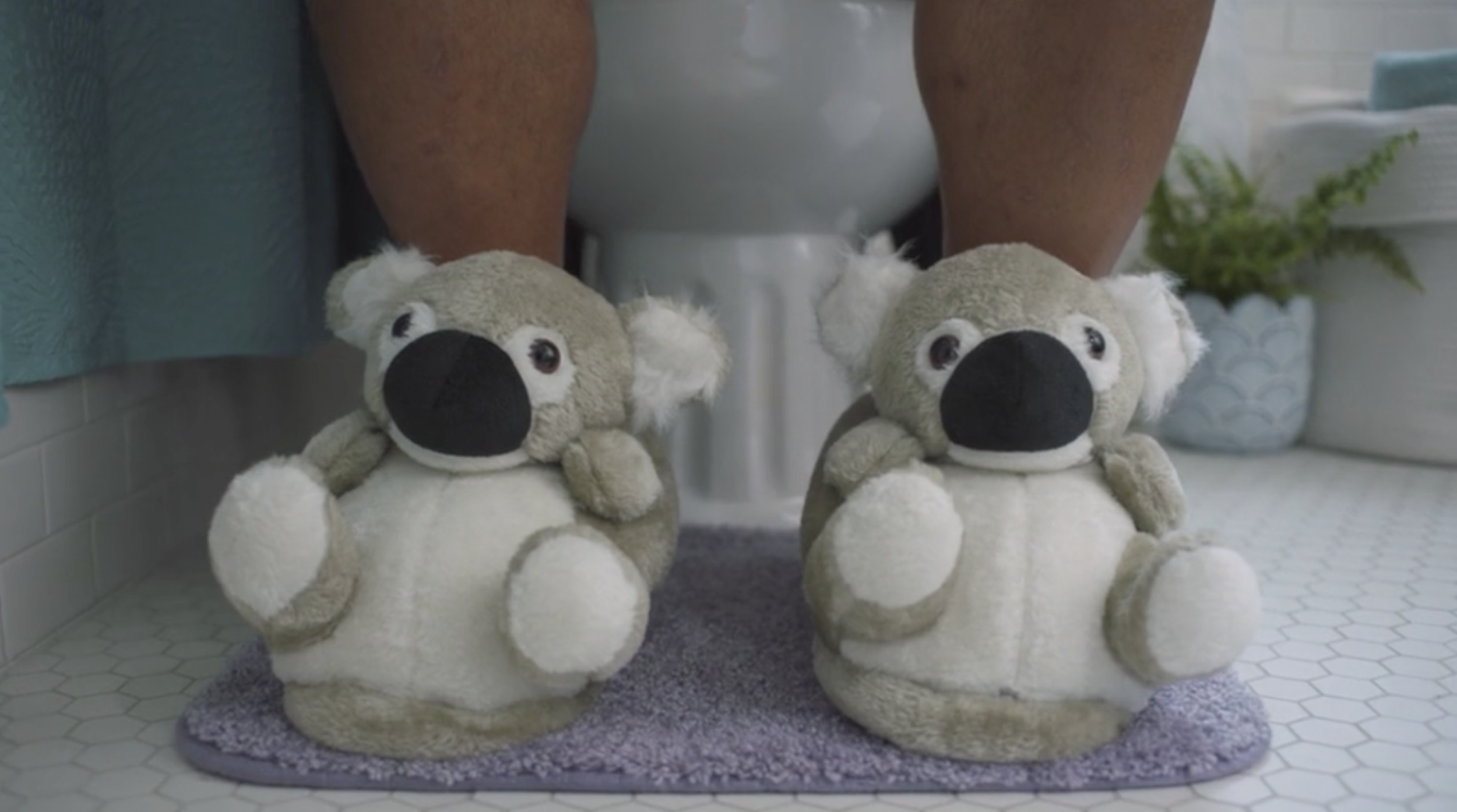 QN // Koalas