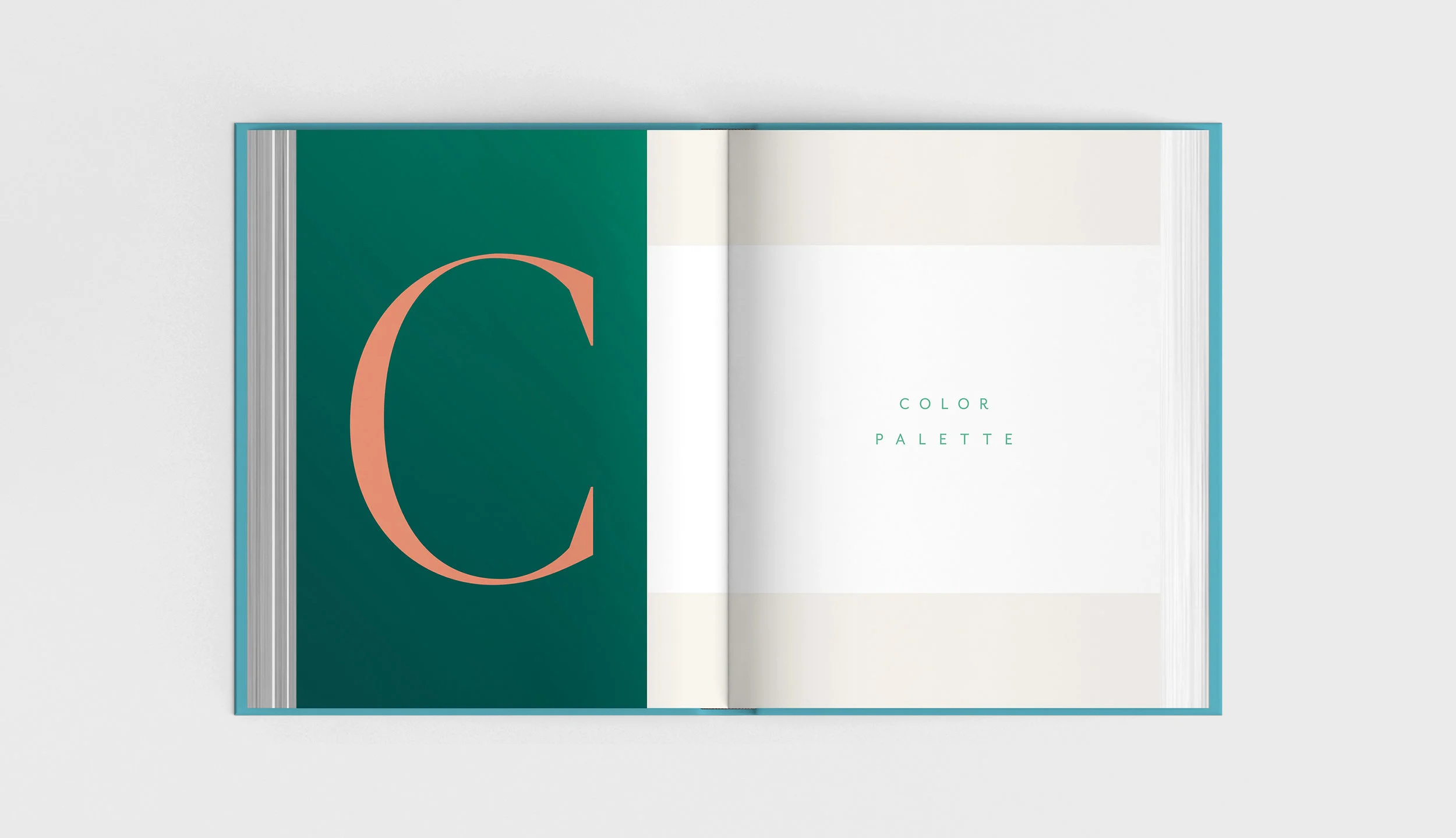 an extensive, vibrant and versatile color palette was established