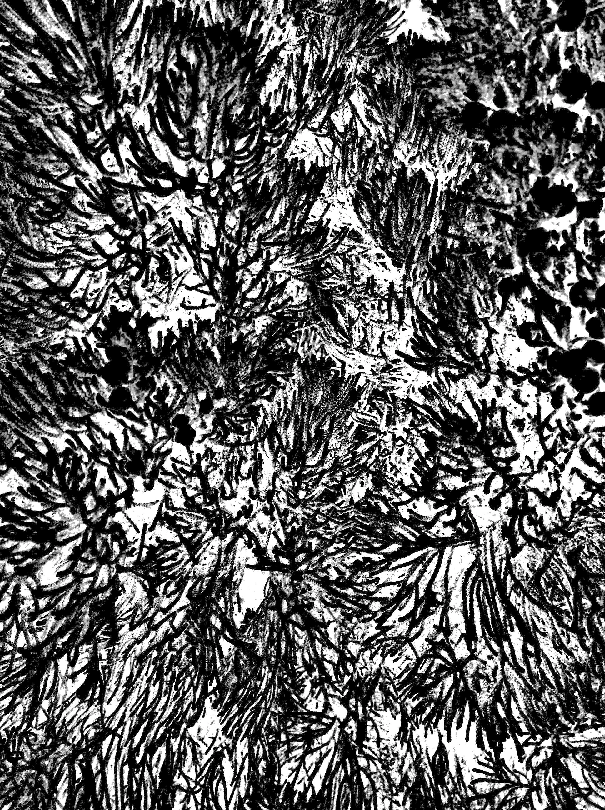 negative_flora_3.jpg
