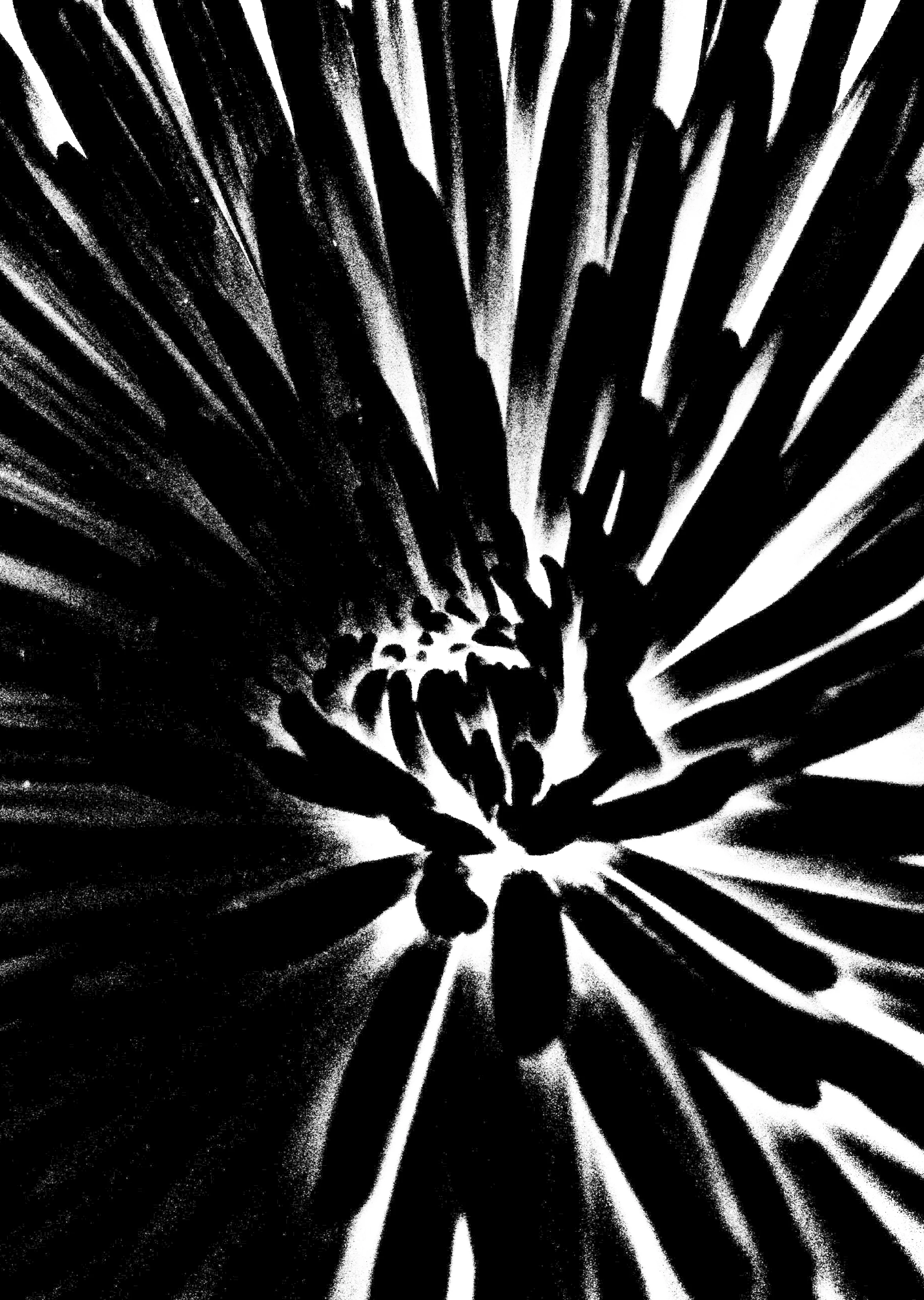 table flower .jpg
