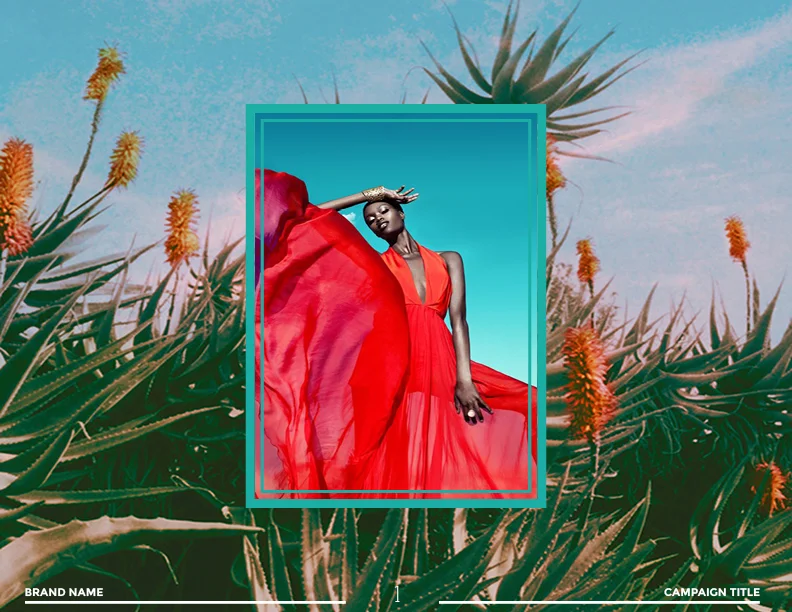 COLOR TROPICS2.jpg