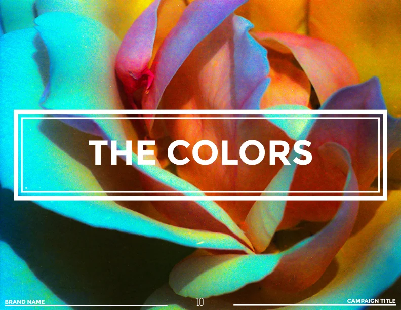 COLOR TROPICS11.jpg