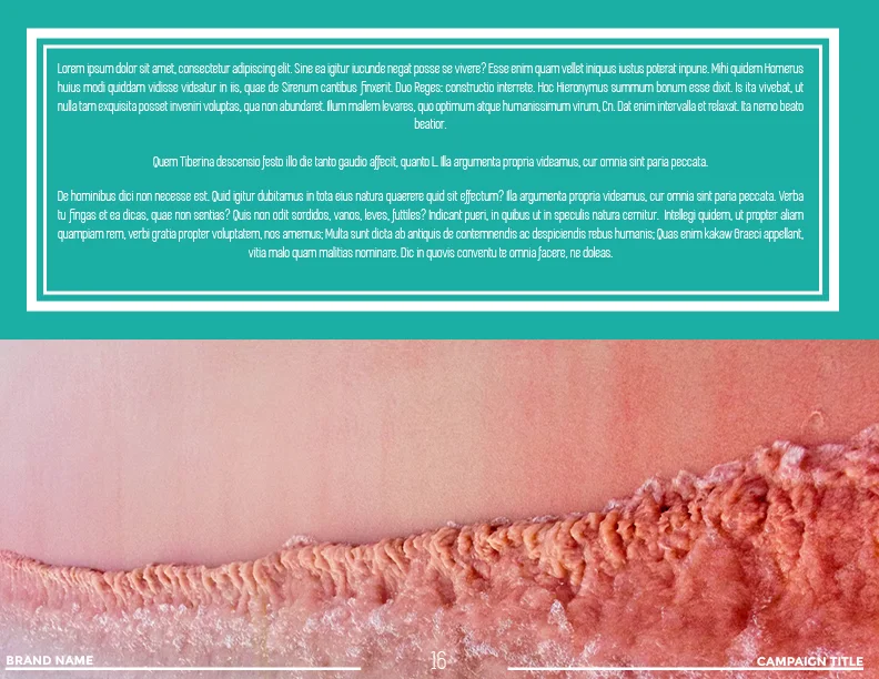 COLOR TROPICS17.jpg