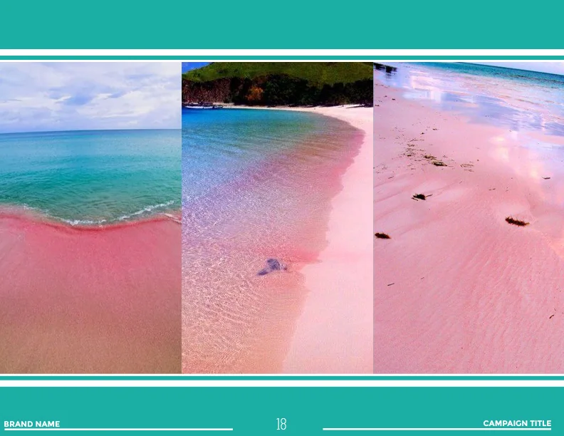 COLOR TROPICS19.jpg