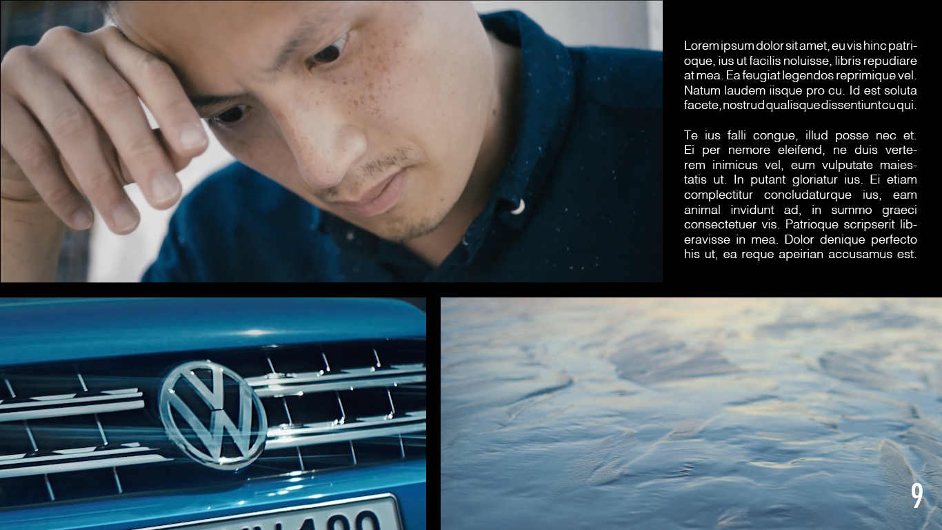 VISION_VW_310.jpg
