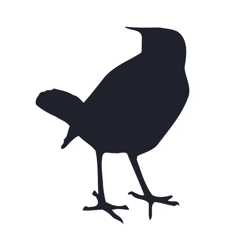  Client: Friends of Rye Nature Center Job: This bird became an icon of sorts for all of our marketing materials moving forward.&nbsp; 