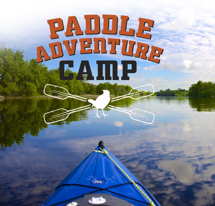  Client: Friends of Rye Nature Center Job: A poster for "Paddle Adventure Camp"&nbsp; 