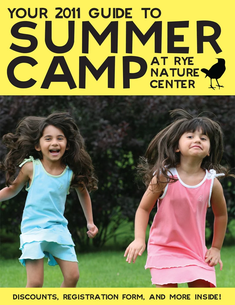  Client: Friends of Rye Nature Center Job: Summer Camp brochure cover 