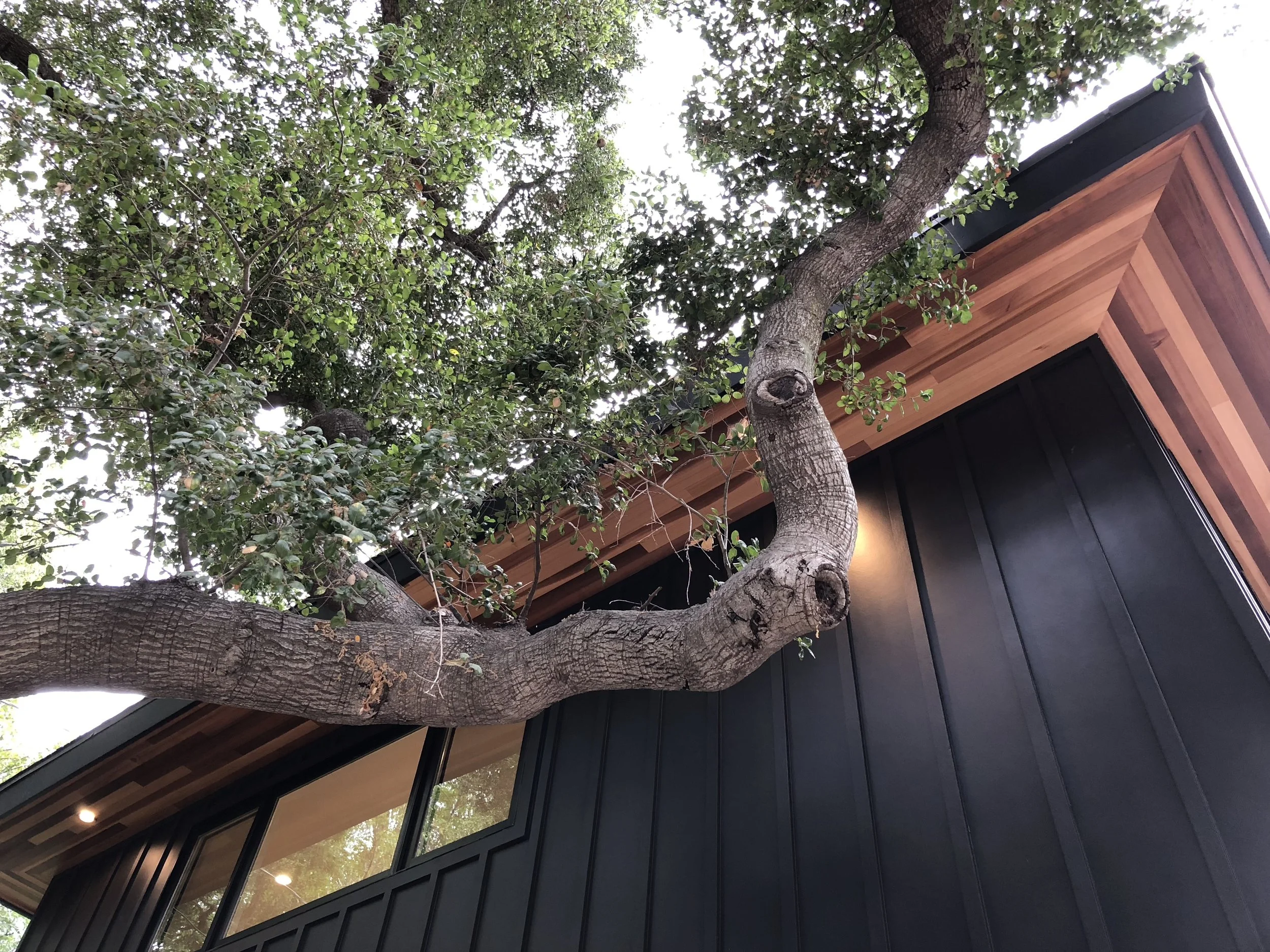 Mid-Century Modern in the Woods - Photos Coming Soon!