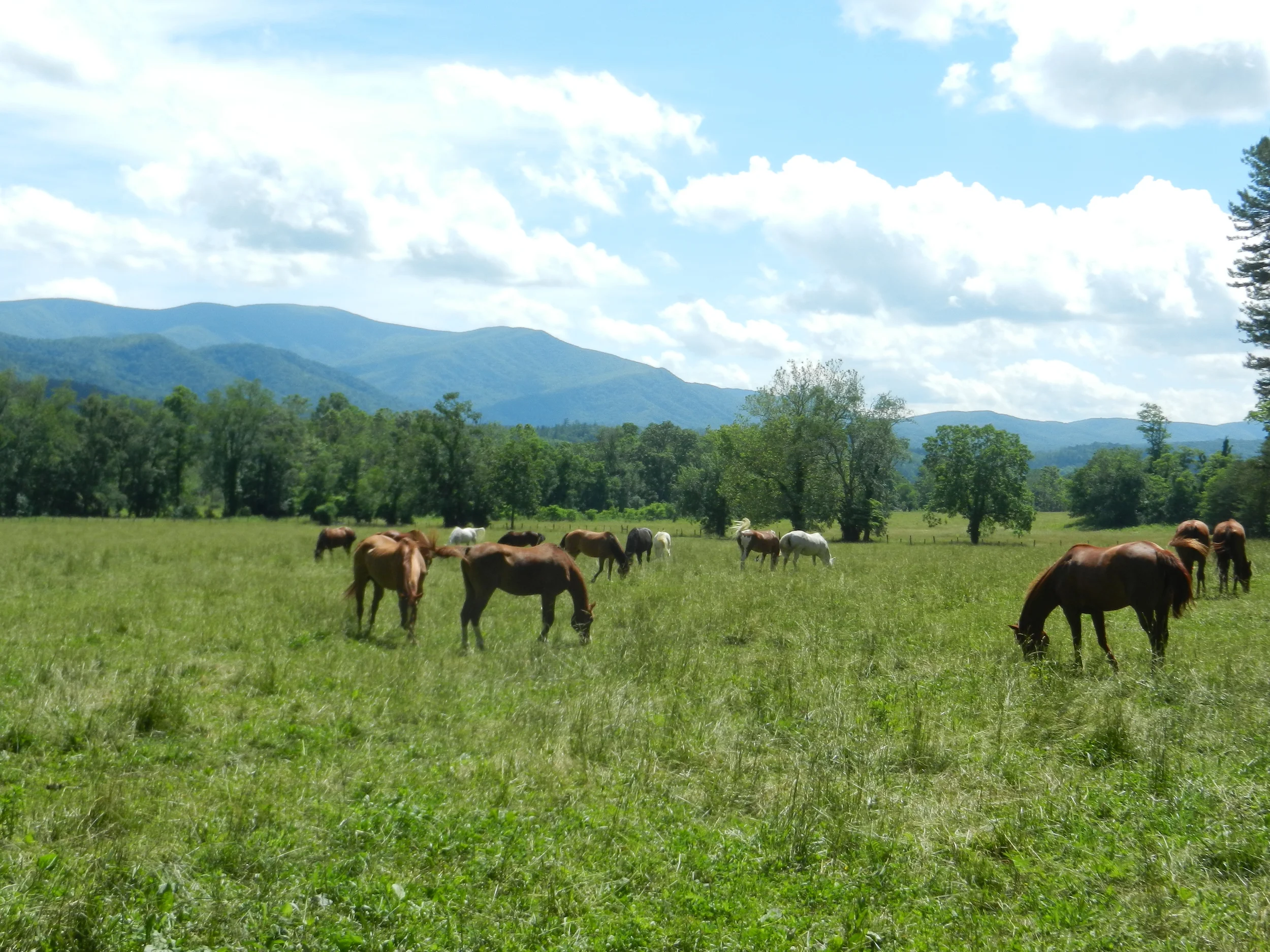 DSCN1068.JPG