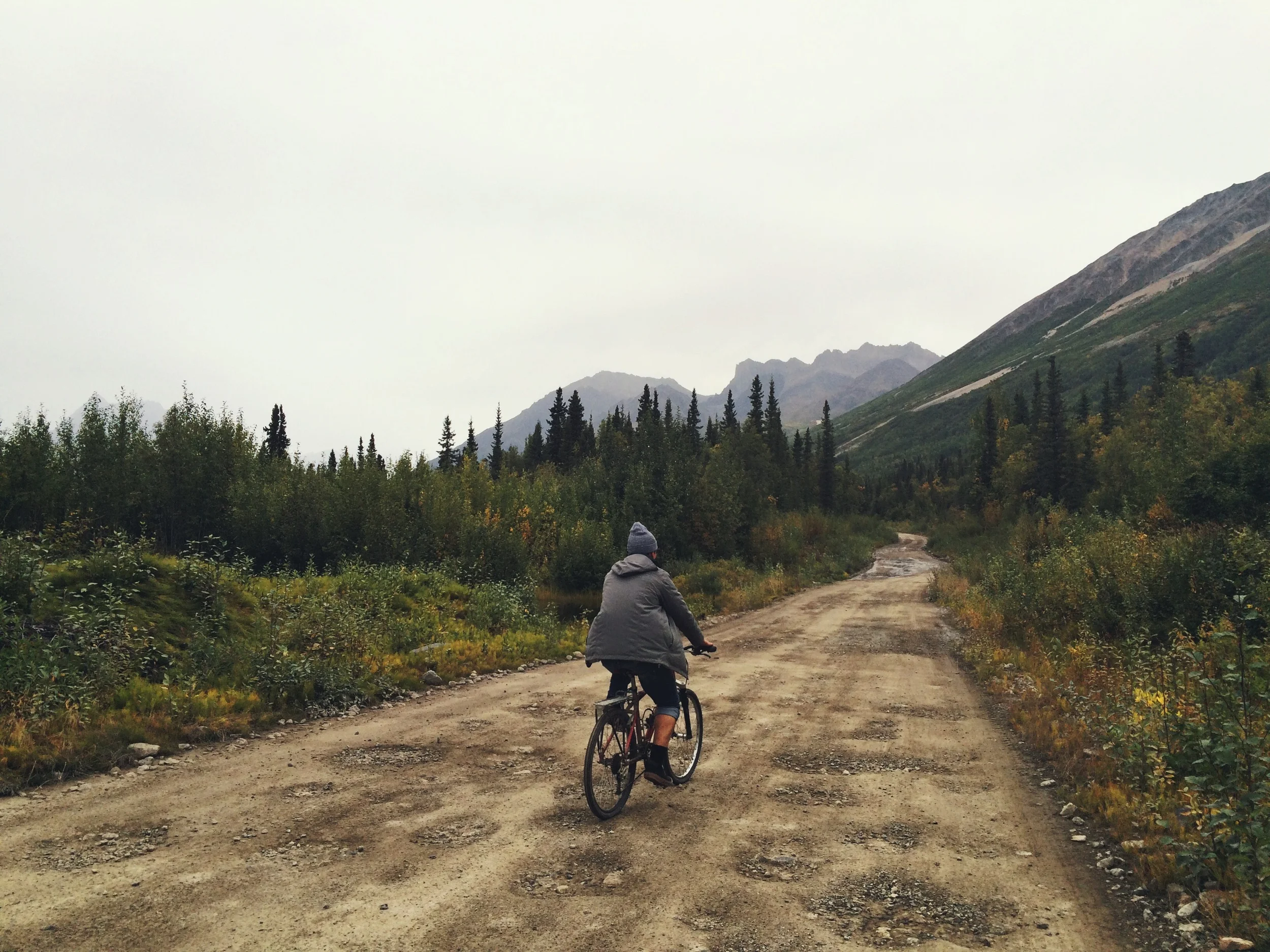 Bike.jpg