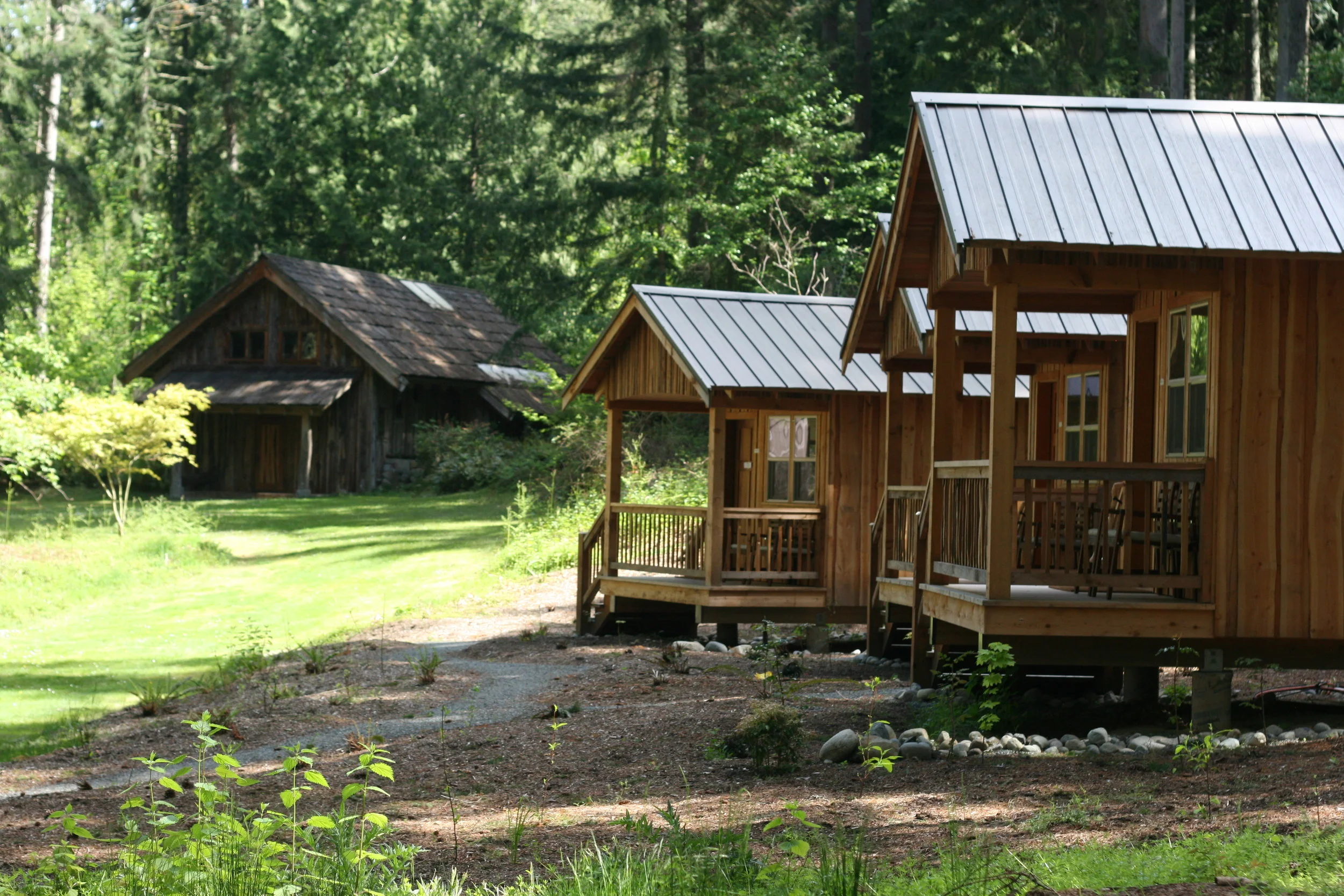 Tender Wild Writing Retreat