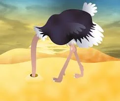 head in sand 2.jpg