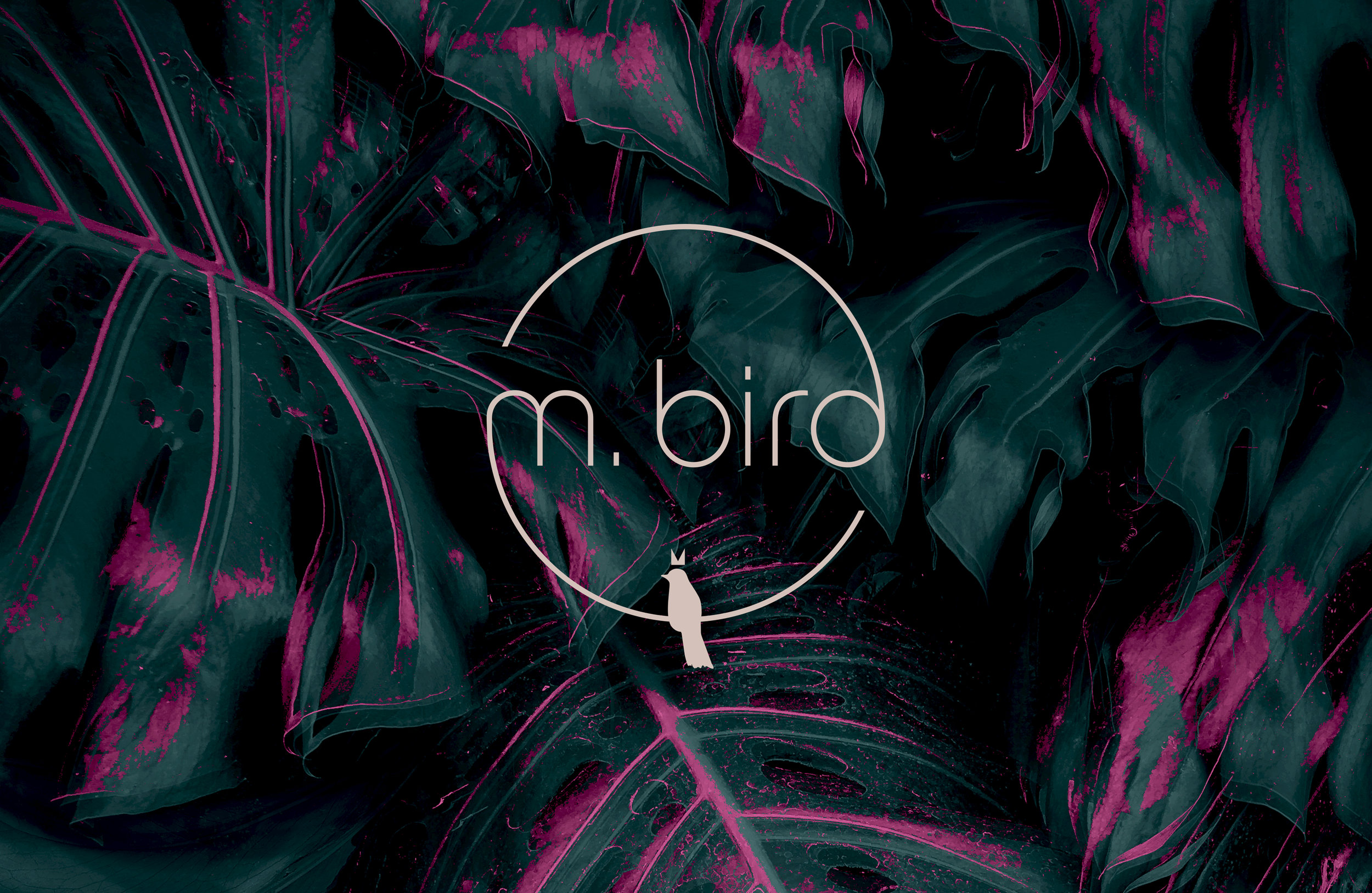 M. Bird