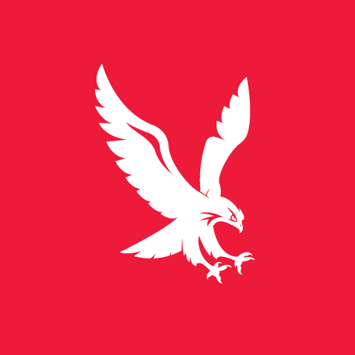 Falcon_Flying_red.gif