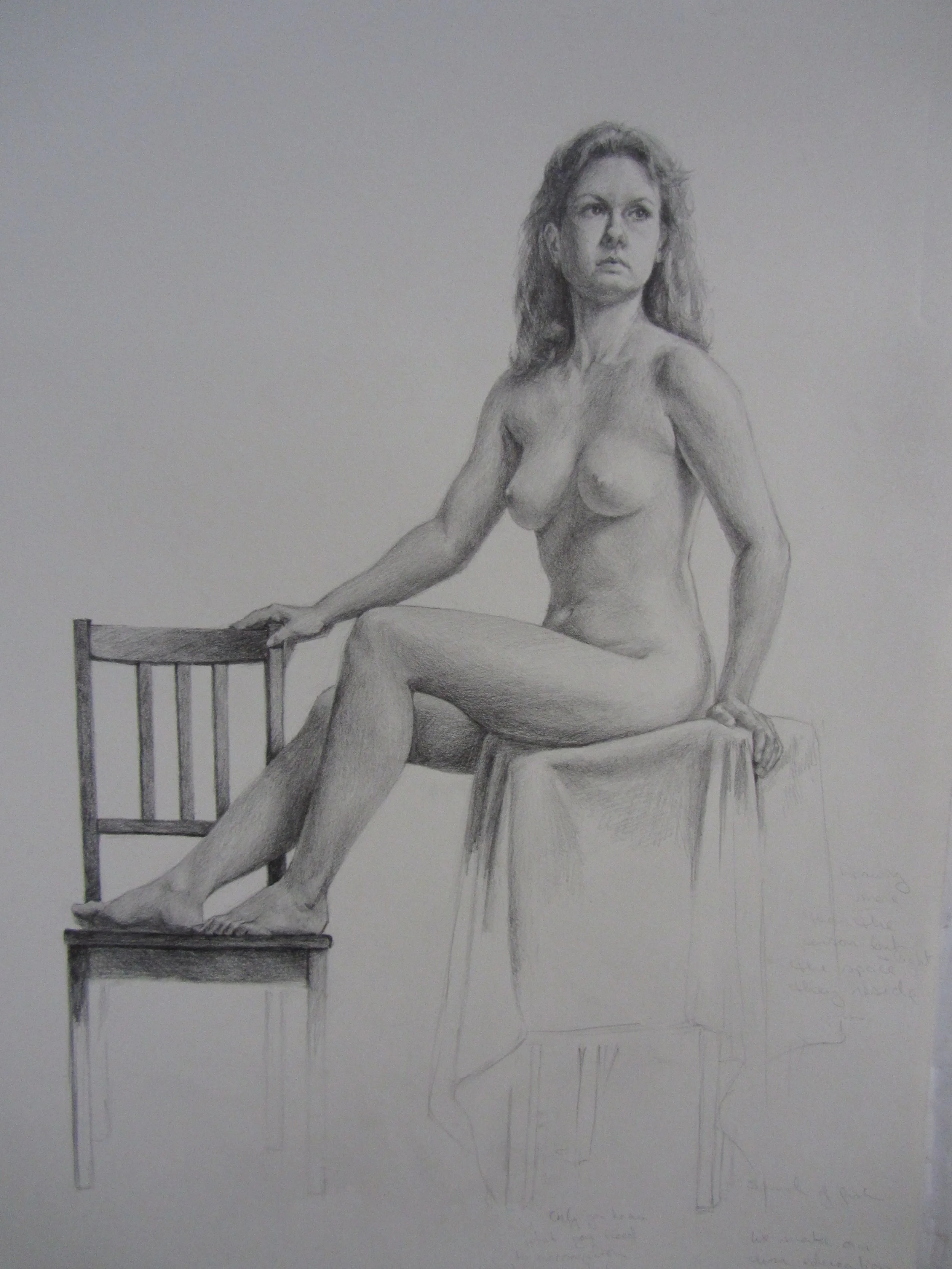 Graphite on paper 2013