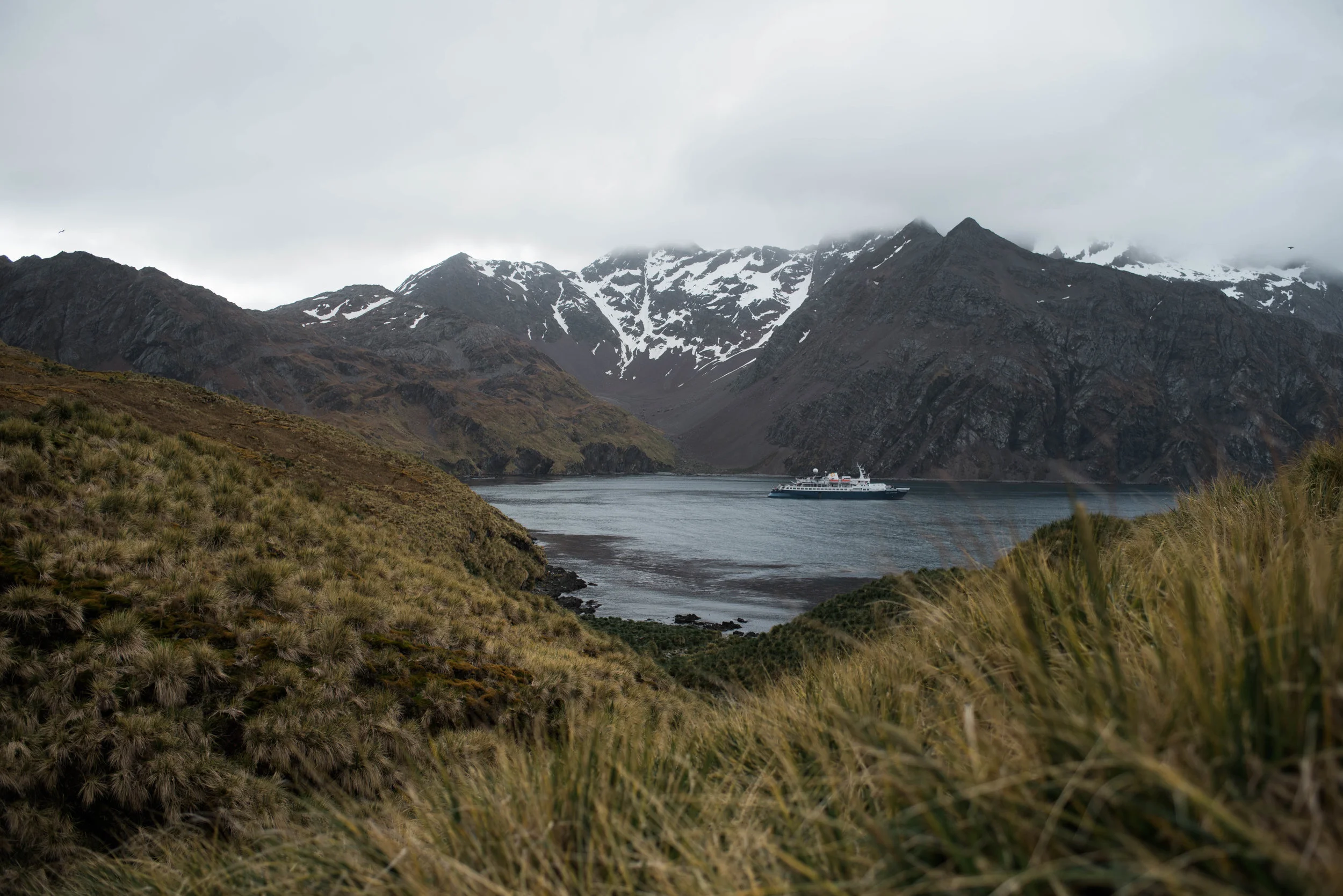 Godthul, South Georgia