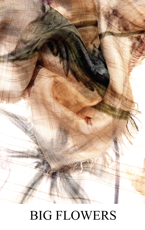 BIG FLOWERS_3.png