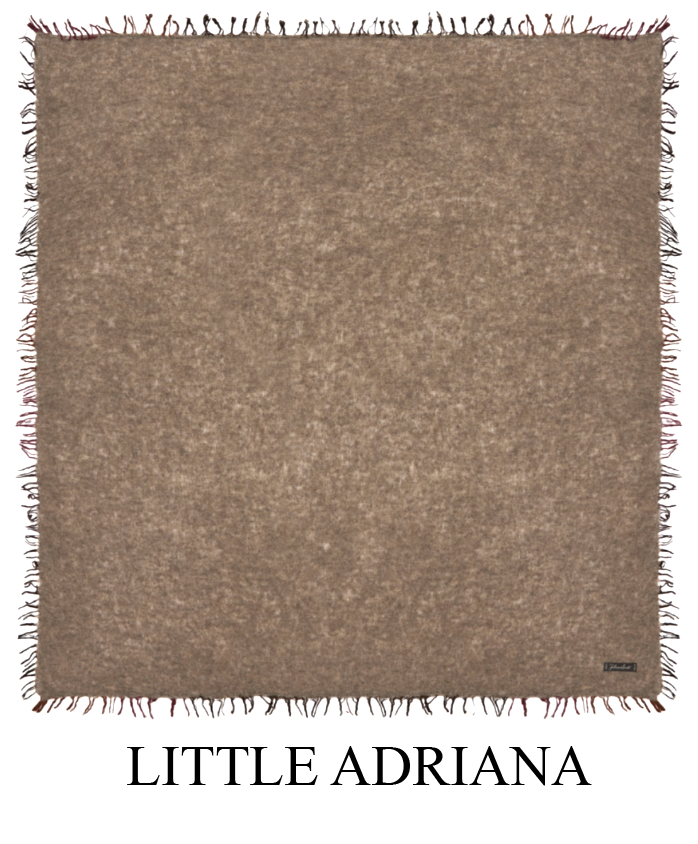 LITTLE ADRIANA.png