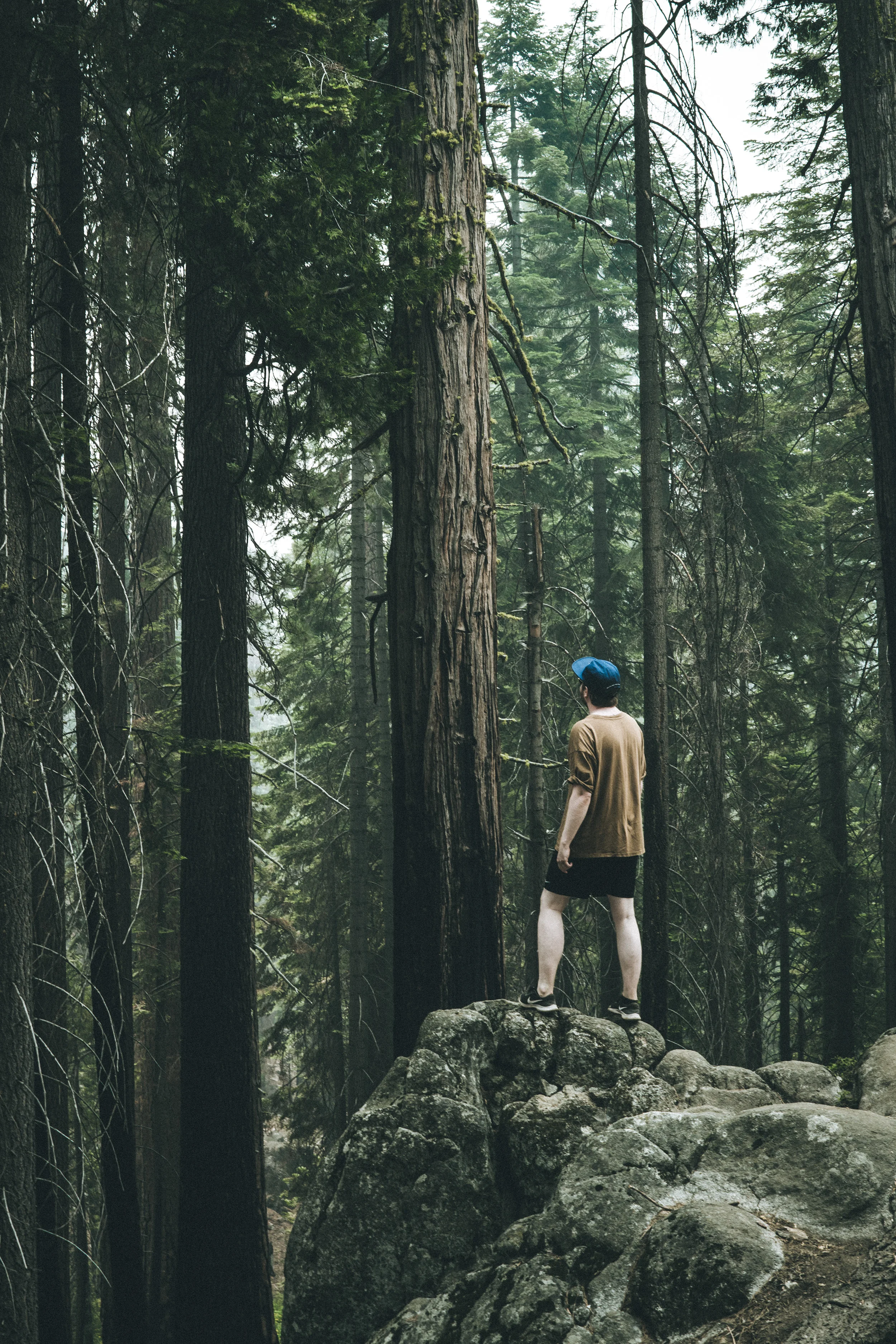 Christoffer_forest_web.jpg