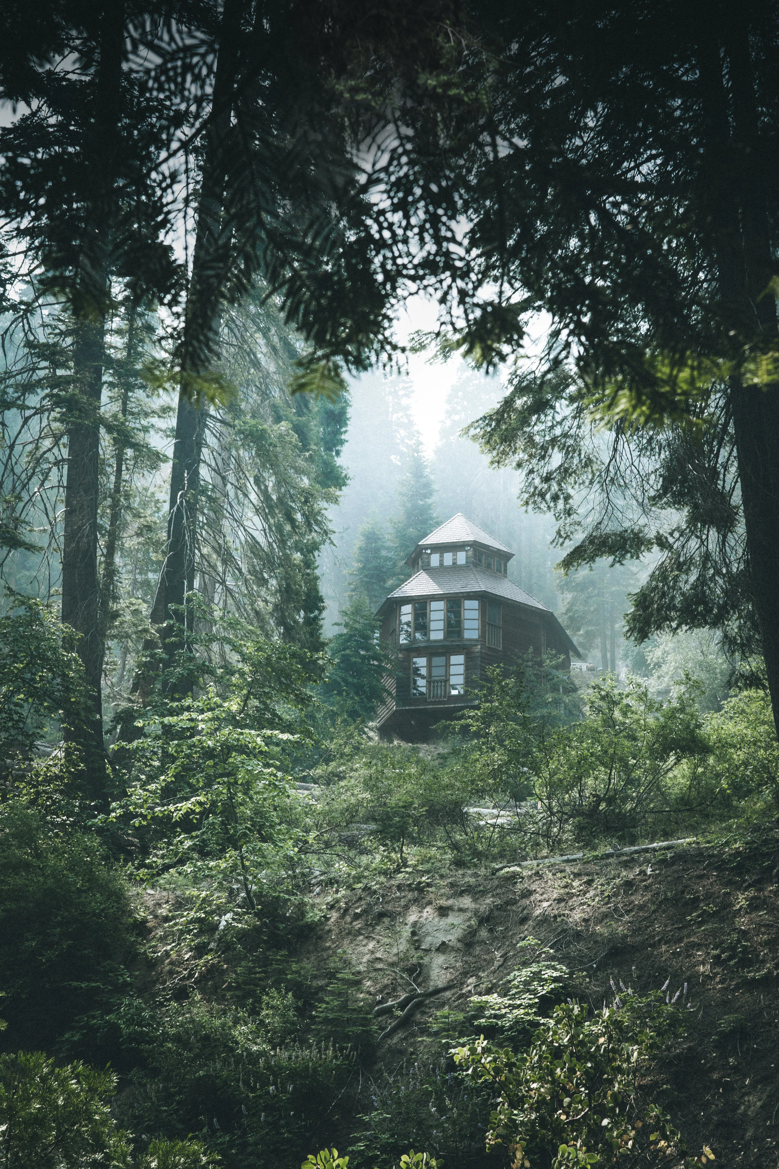 House_Green_For_web.jpg