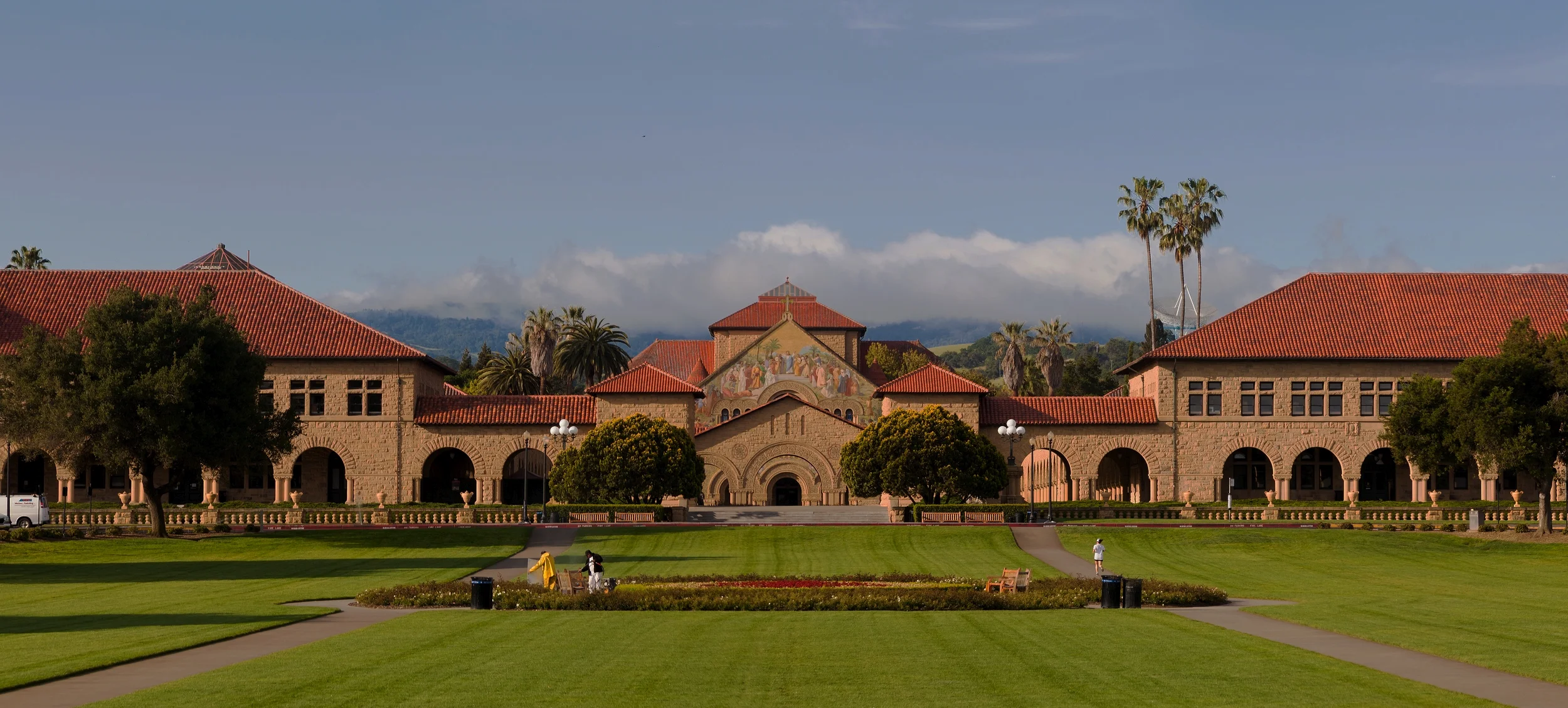 stanford_palm_large.jpg