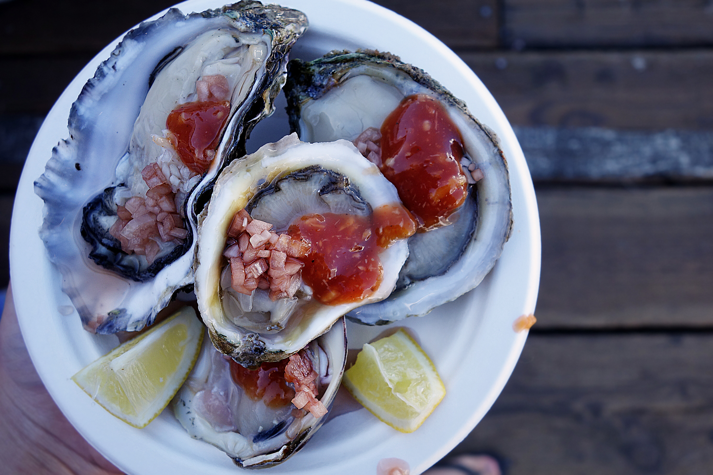 Best oysters I've ever had!