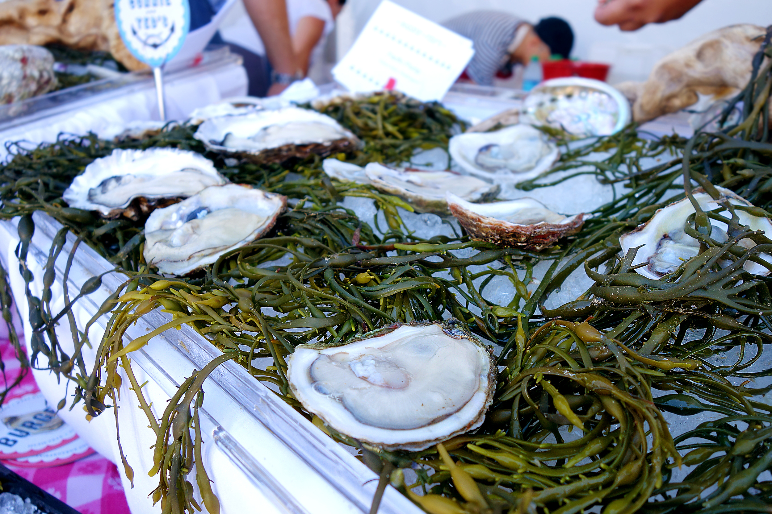 4 oysters were served