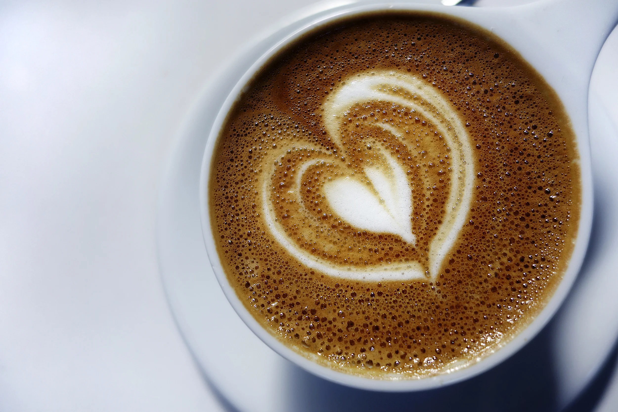 Intelligentsia - Abbot Kinney