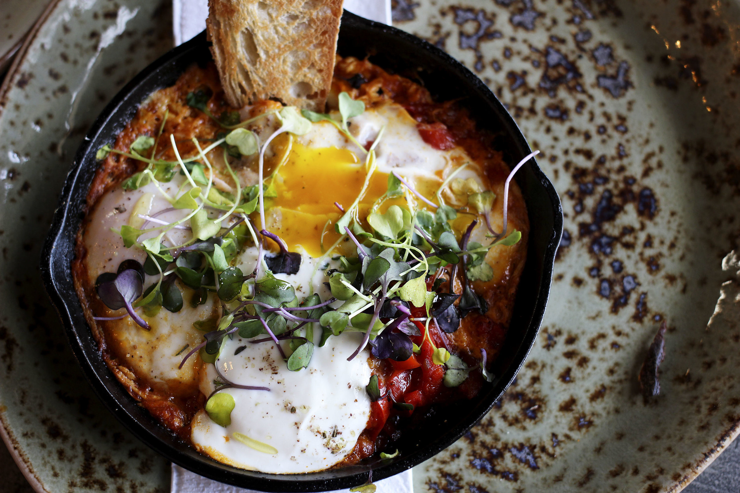 Shakshuka & Griddled Polenta - red flint polenta, labneh, za’atar, sunny side eggs