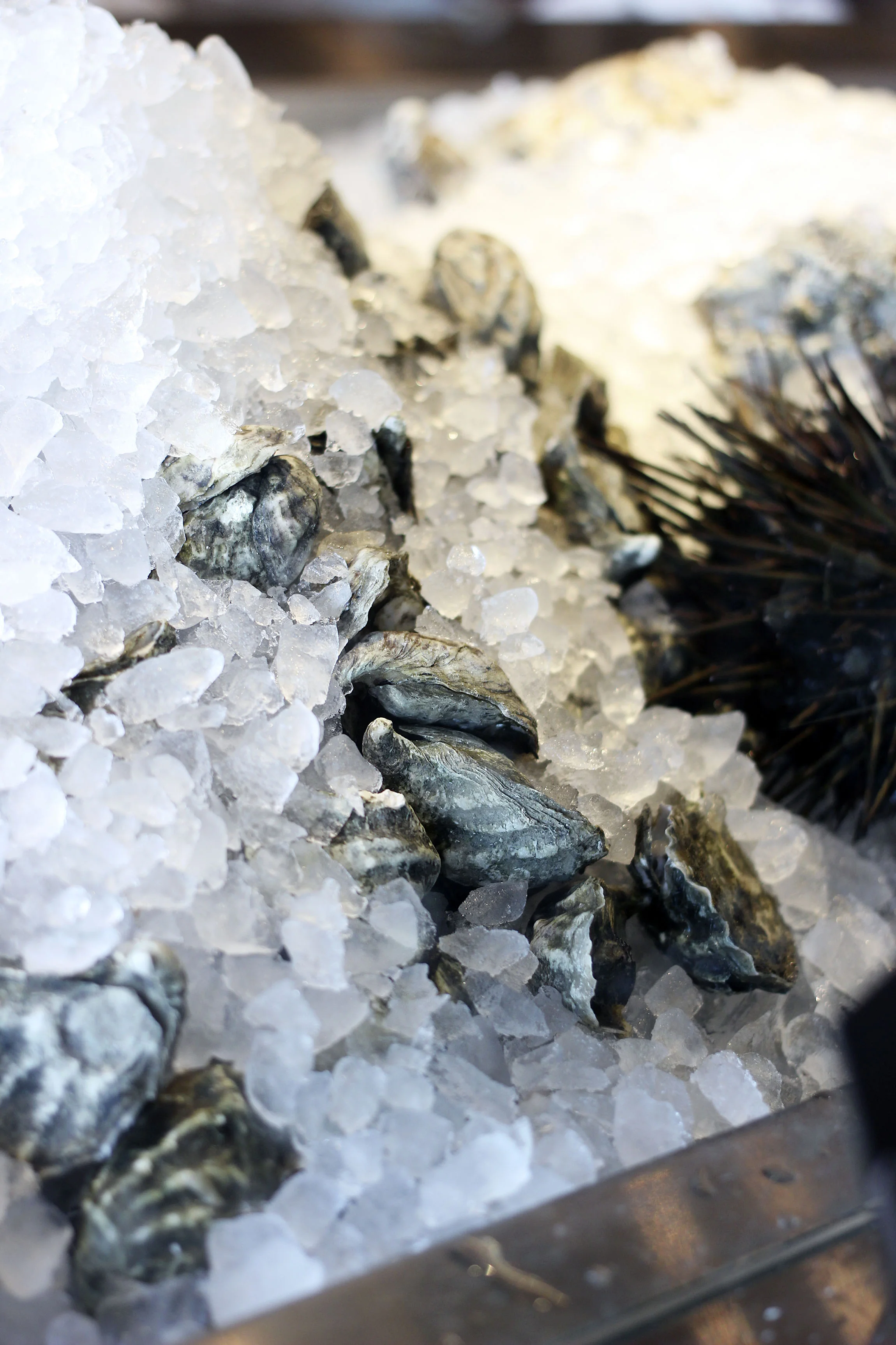 Take a peak at their raw bar to eye everything you want to order.
