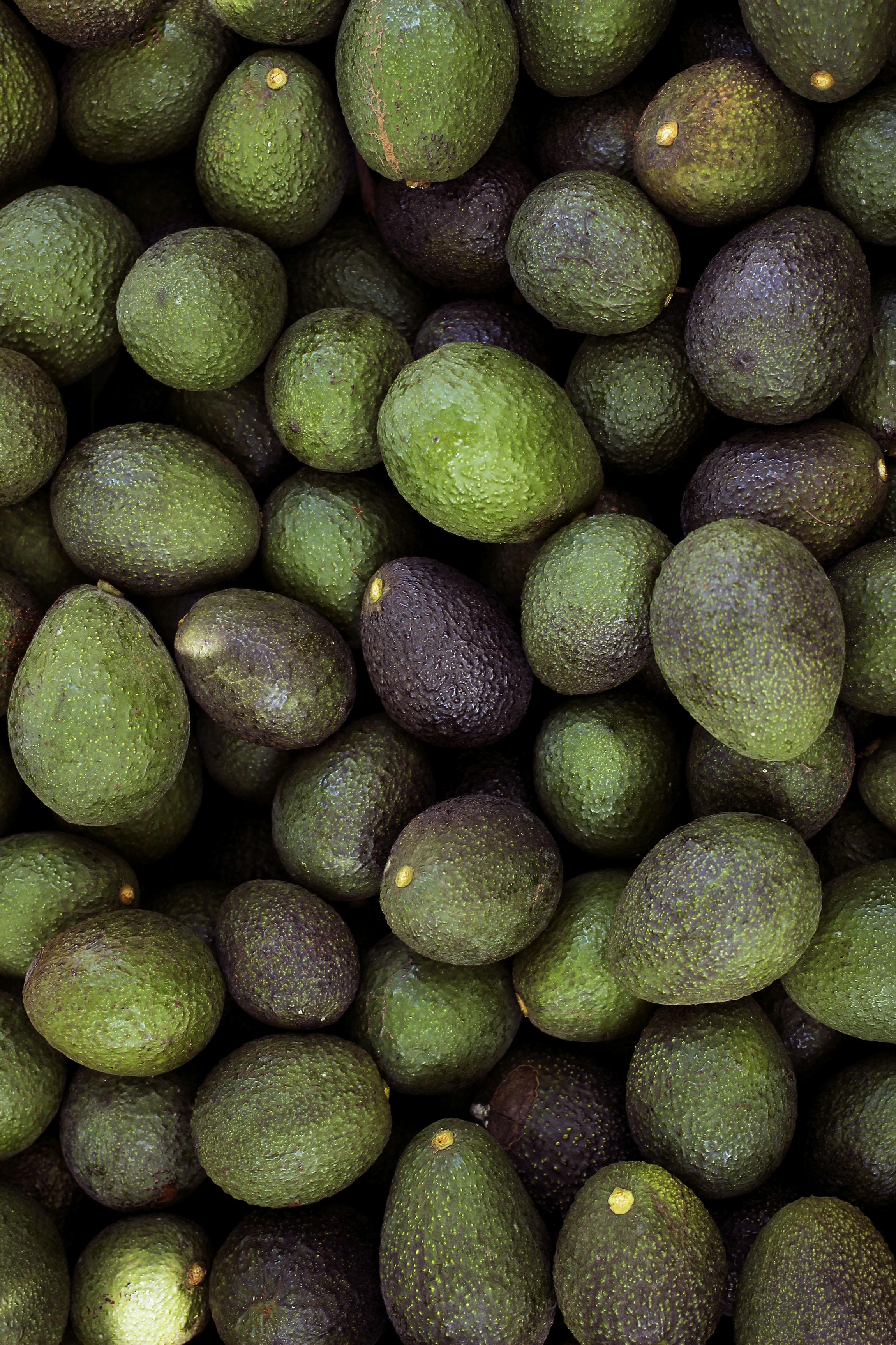 Handpicked.