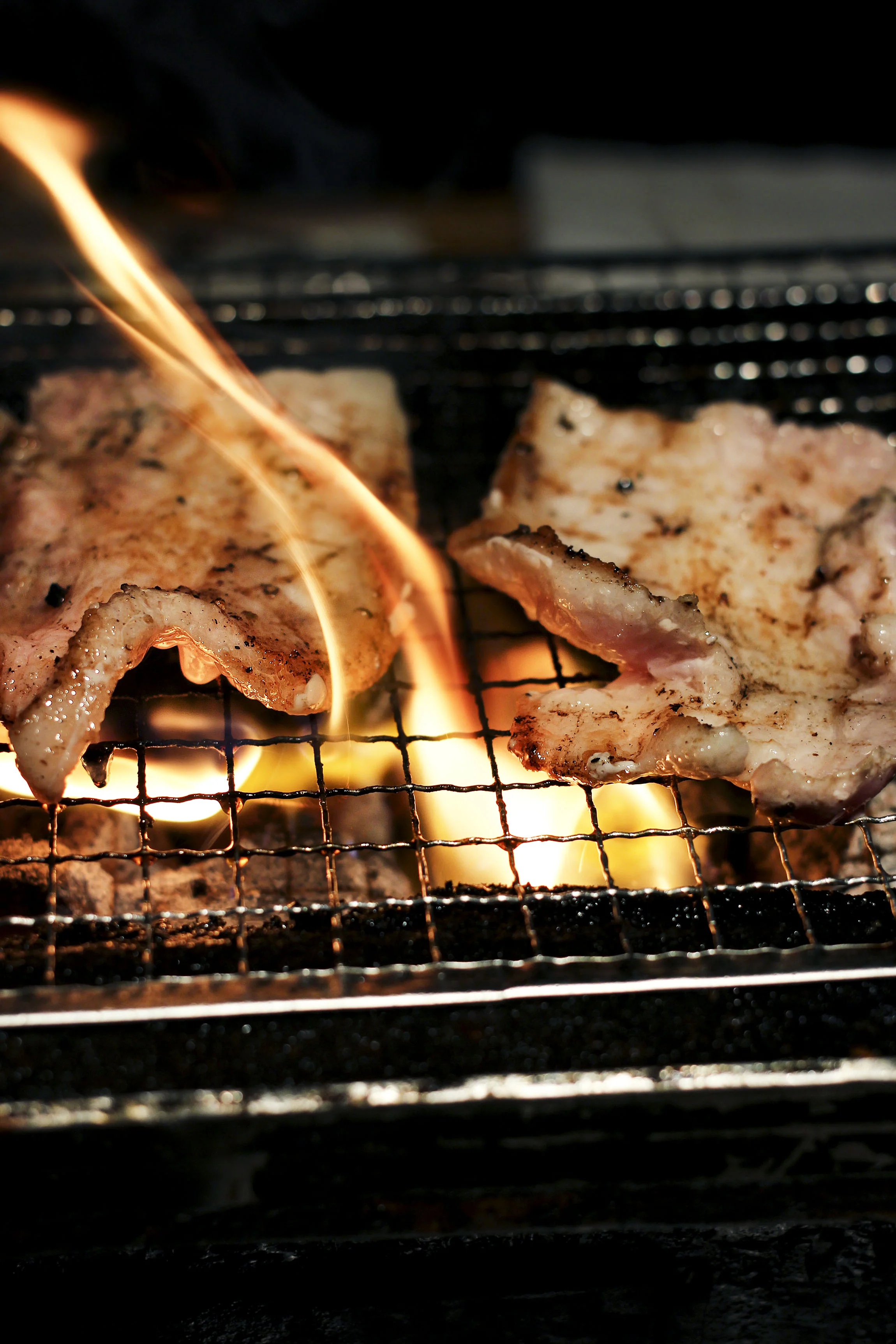 Hikari - Torrance CA