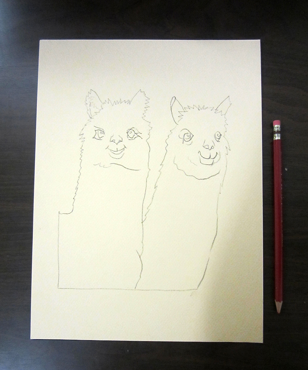 5.jpeg