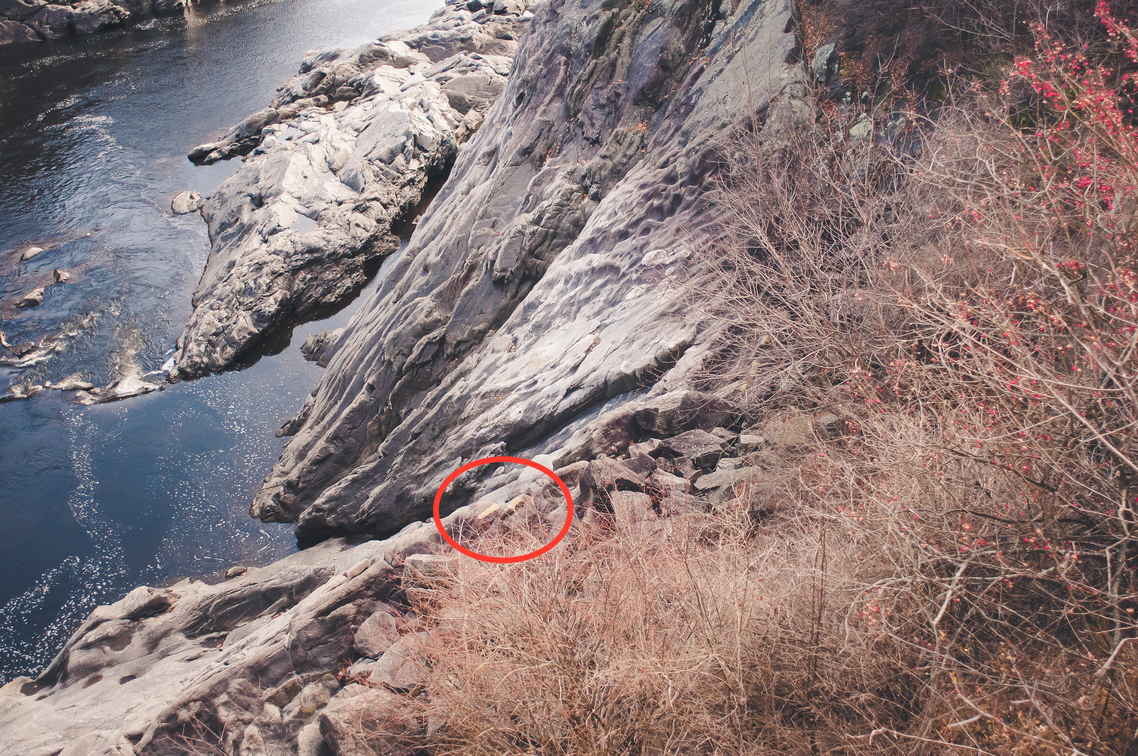 Circled here are the two yellow lines visible from the road above indicating where the petroglyphs are located.