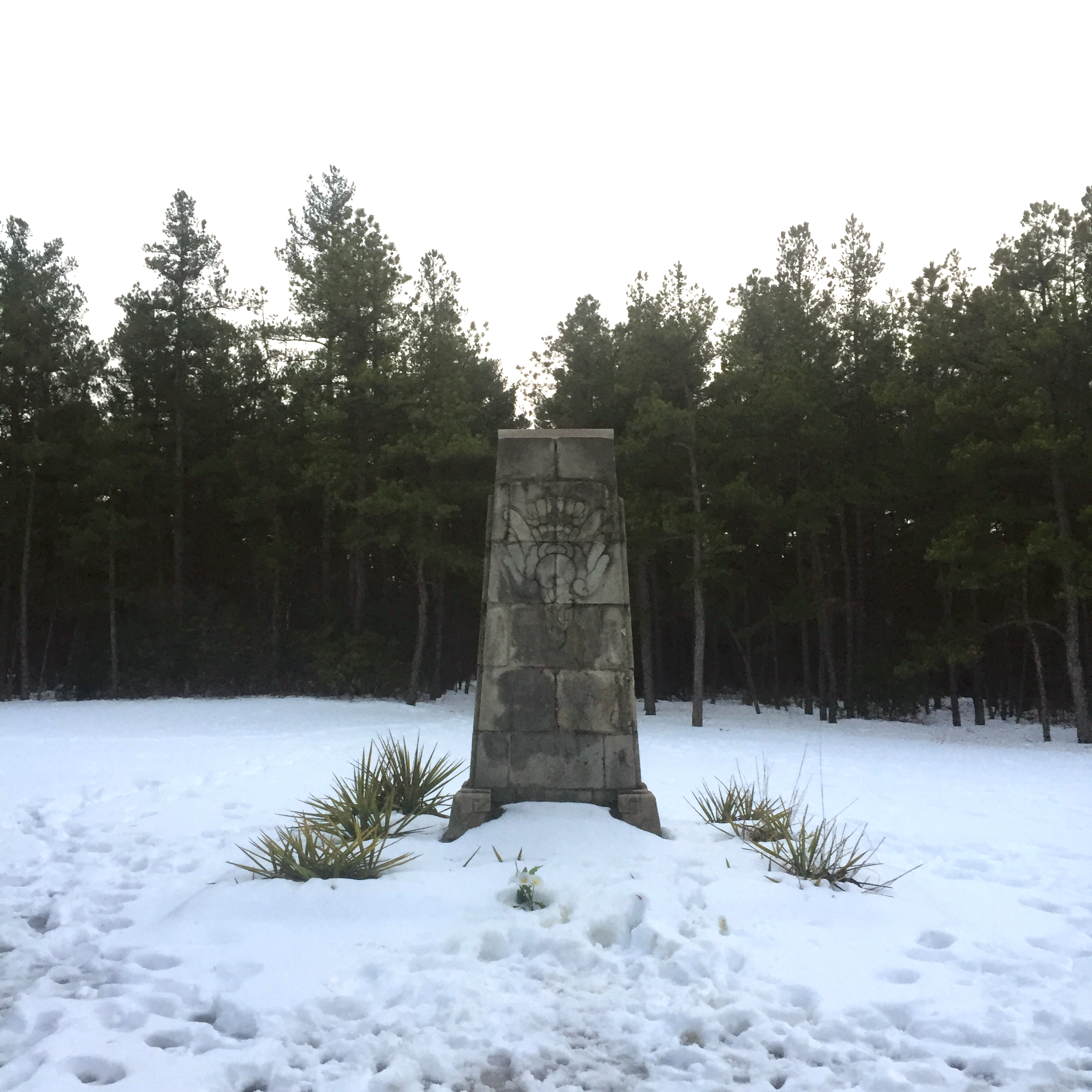 A brief history on the memorial: Often dubbed the "Mexican Lindbergh ", Emilio Carranza was on his way home from a goodwill flight to New York when his plane went down in a thunderstorm in the Pine Barrens on July 13, 1928. Mexican school children raised funds to have this 12-foot monument built, featuring an Aztec falling eagle, amongst other interesting carvings. For more information on the monument, and Emilio please visit this site: www.post11.org/carranza/