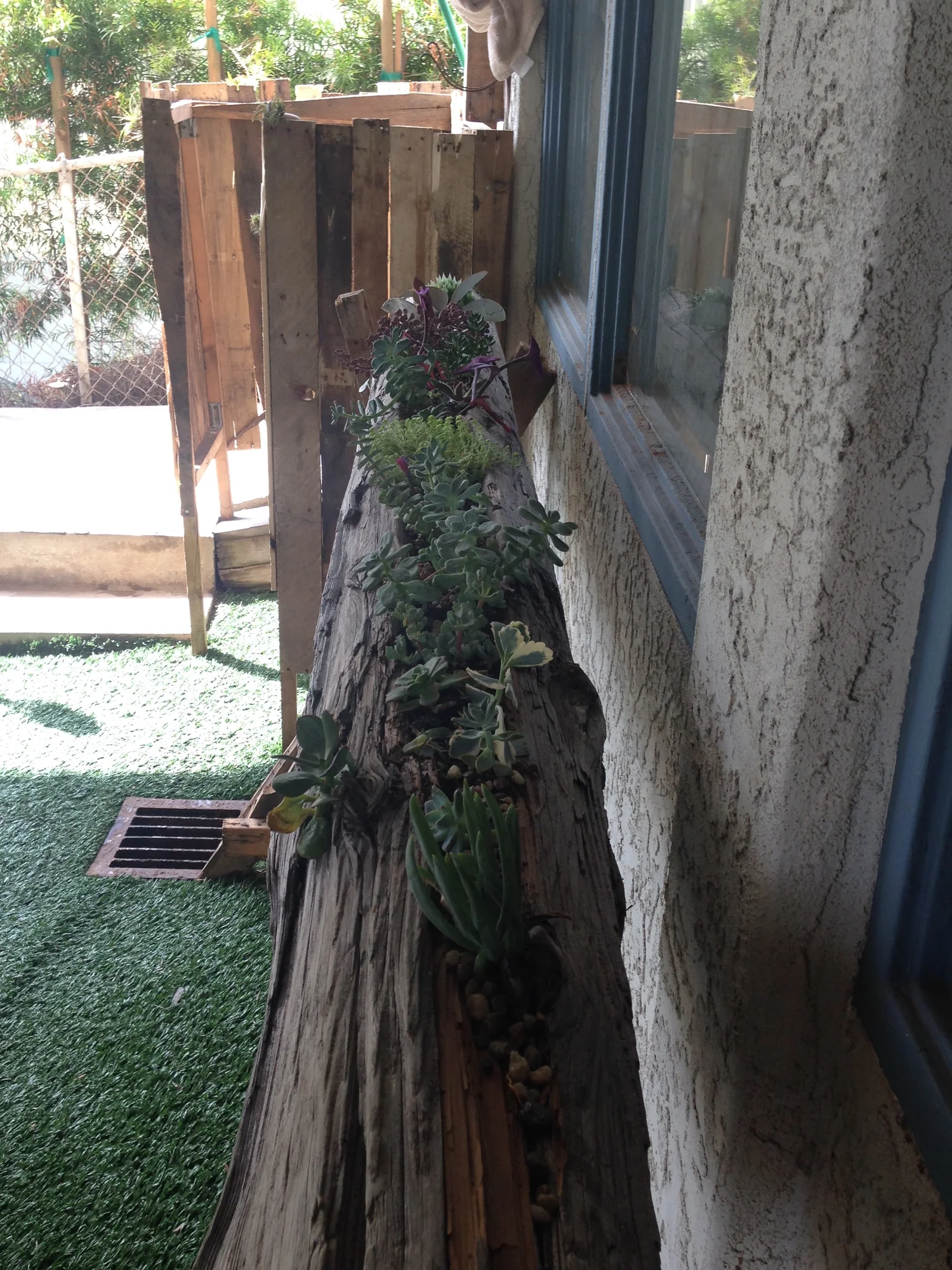The Drift Wood Planter Cardiff Craft