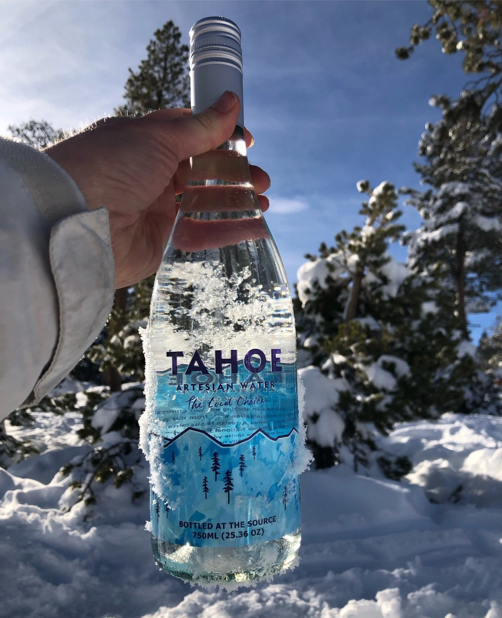 tahoe4.jpg