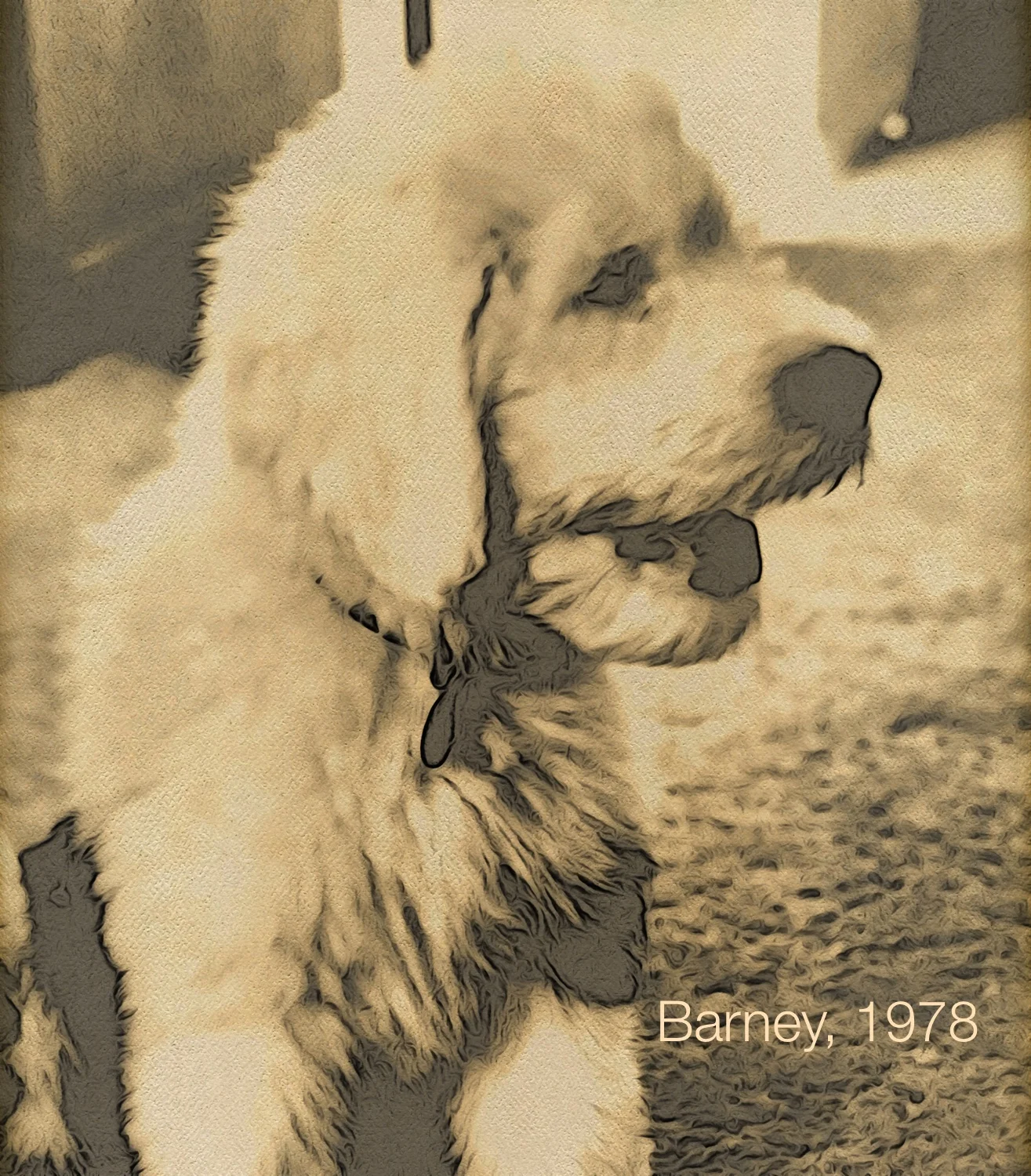 BarneyDog.jpg