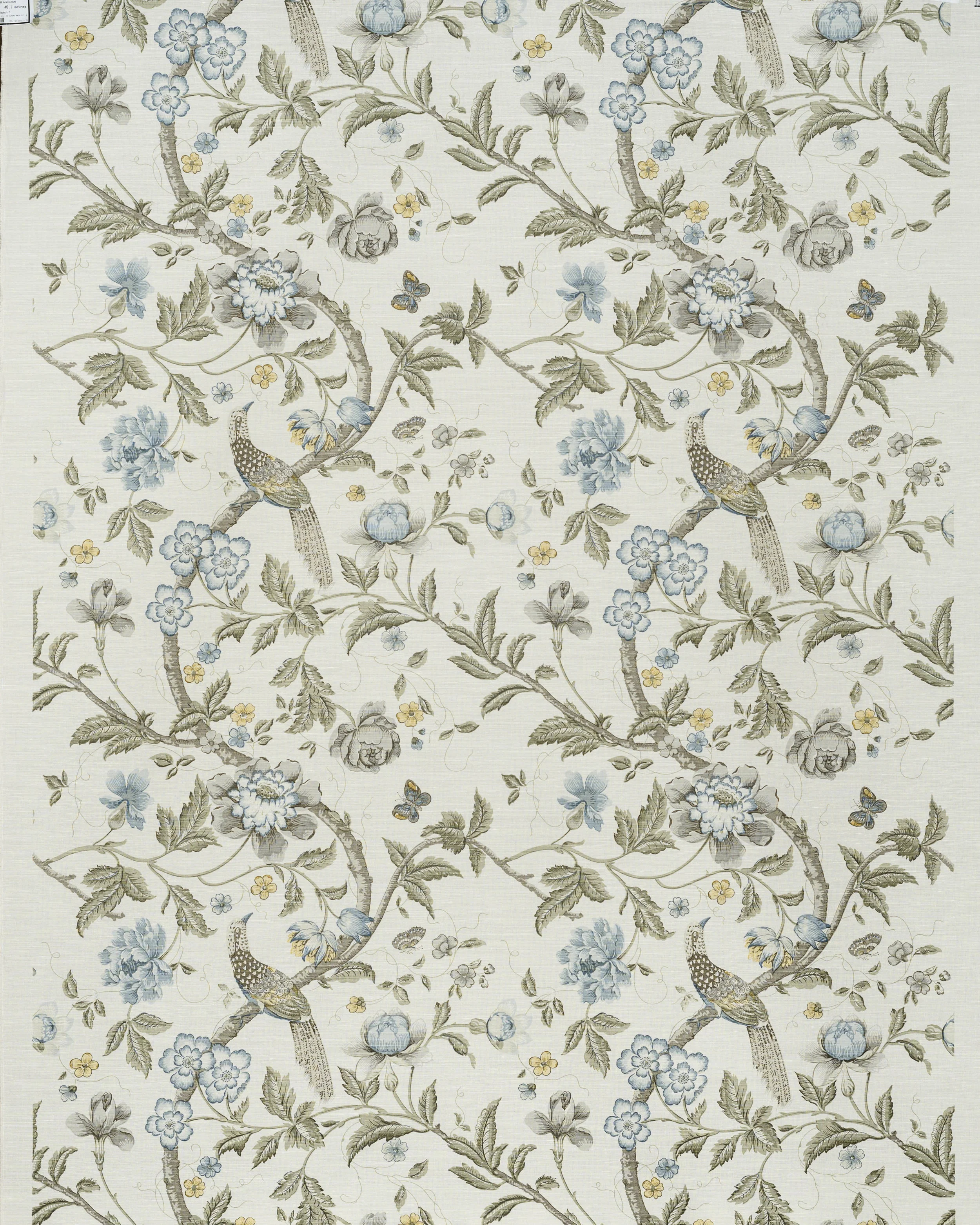 Chinese Pheasant - Blue Green on Oyster
