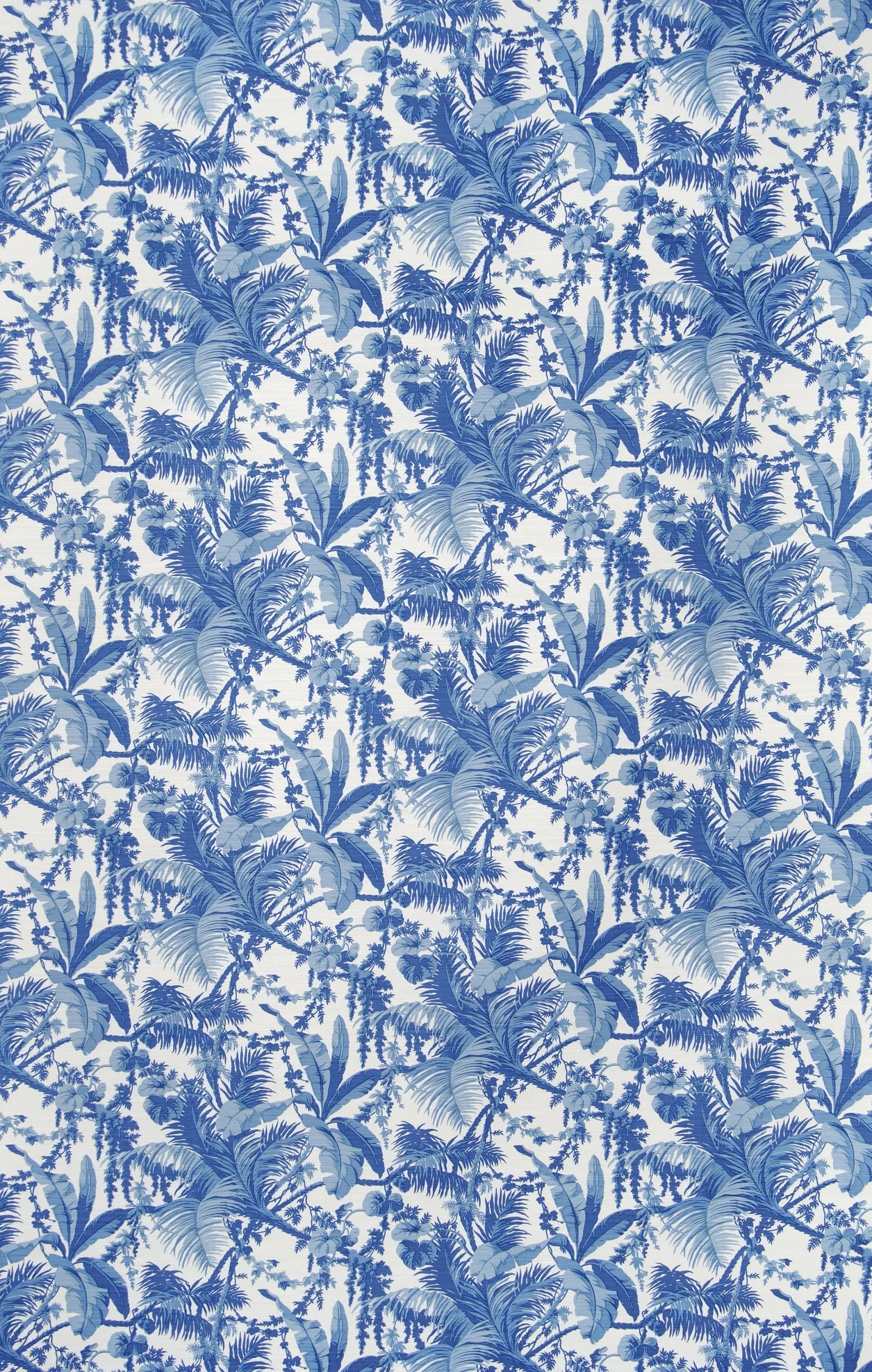 Waikiki - Faded Blue on Oyster