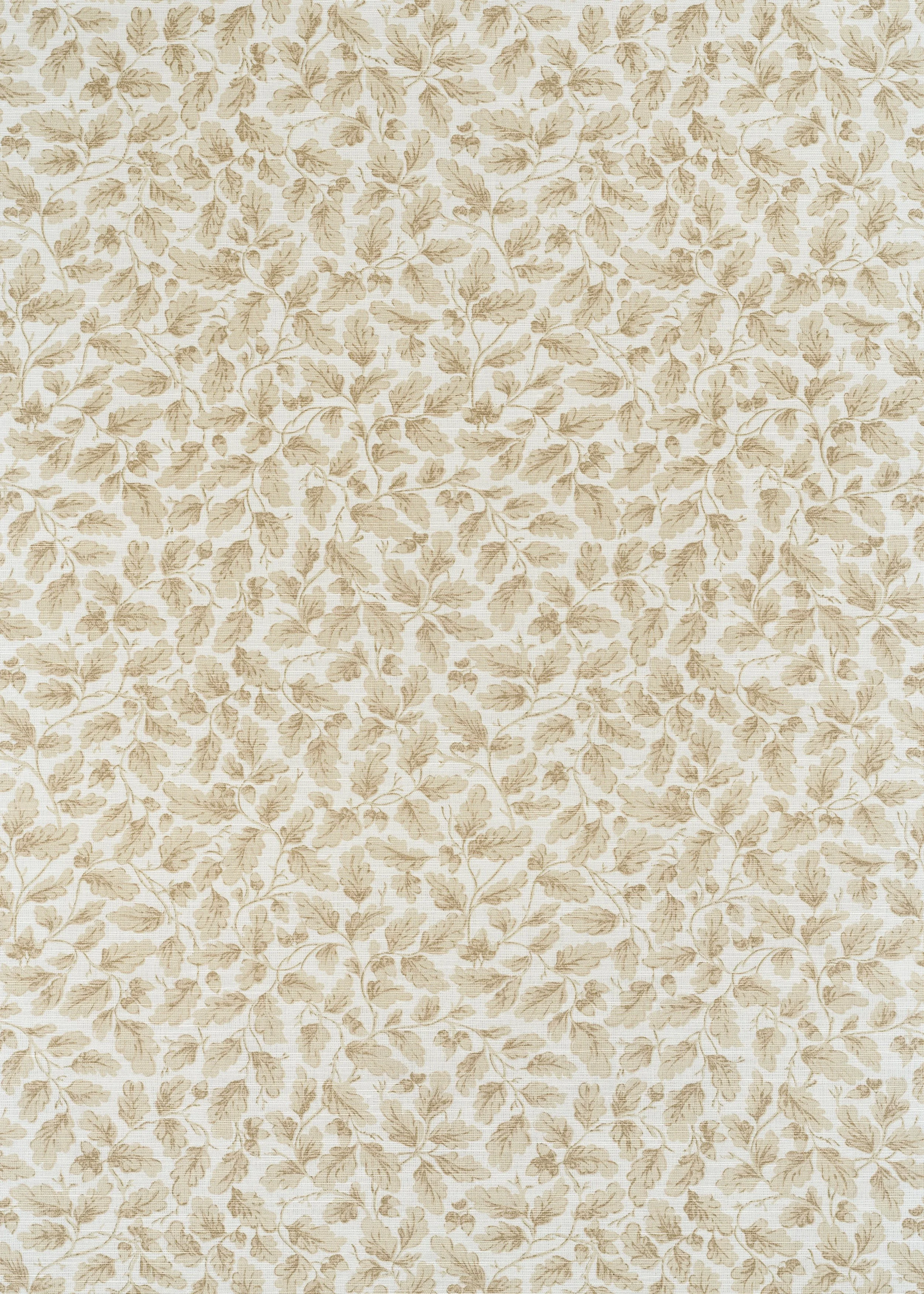English Oakleaf - Beige on Oyster