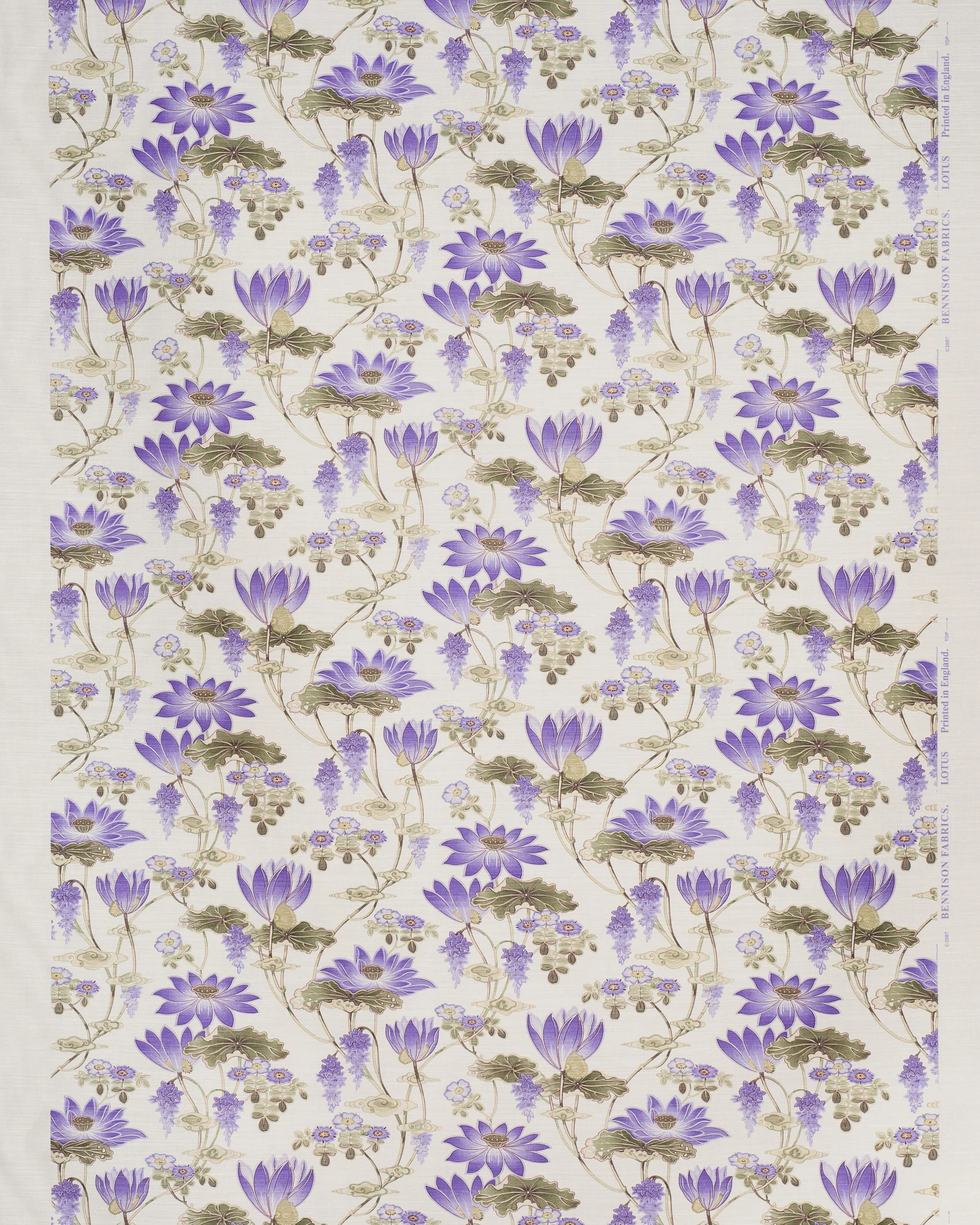 Lotus - Violet on Oyster