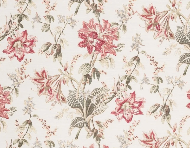 Orchid Lily - Pink Green on Oyster
