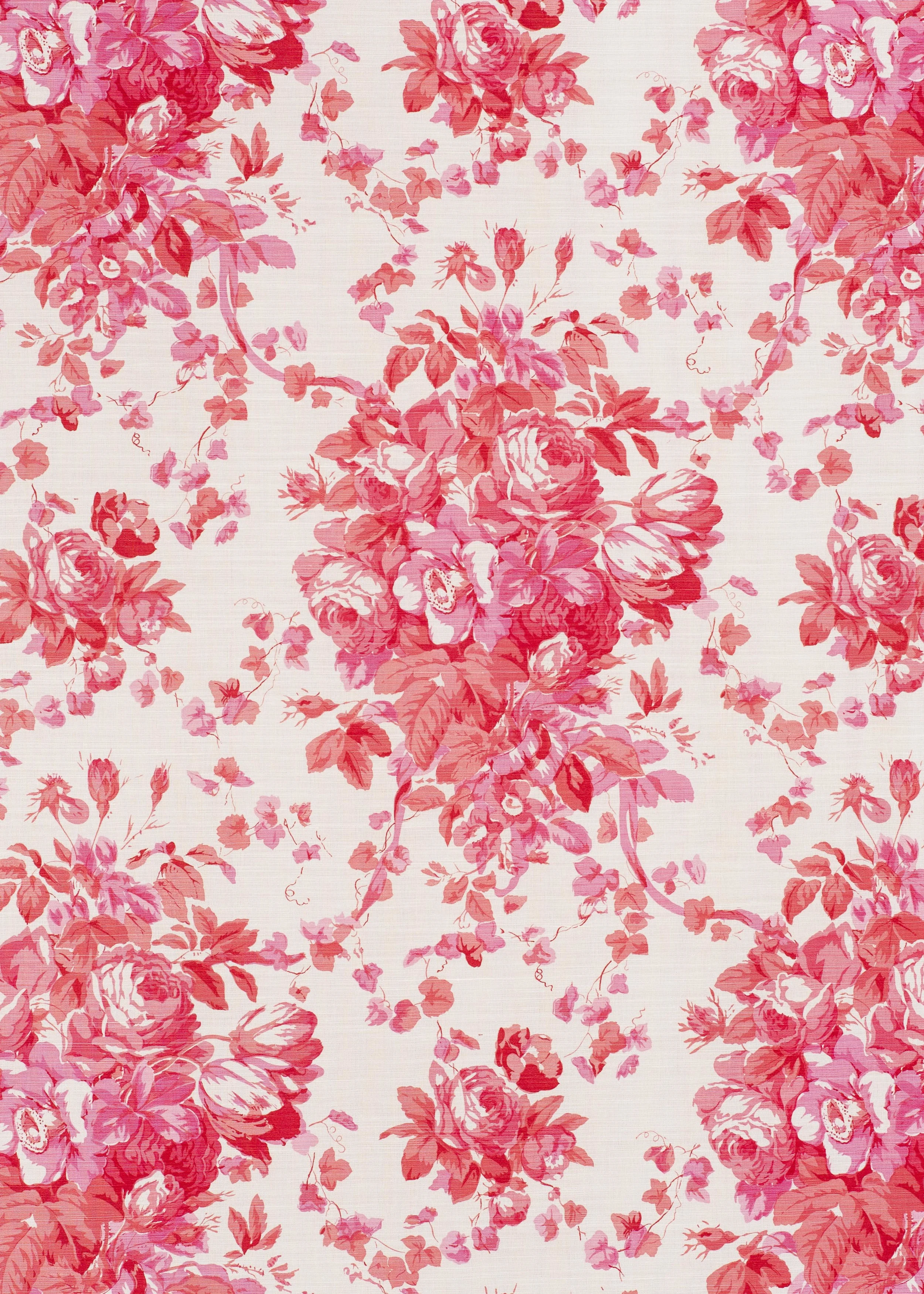 Roses - Shocking Pink on Oyster