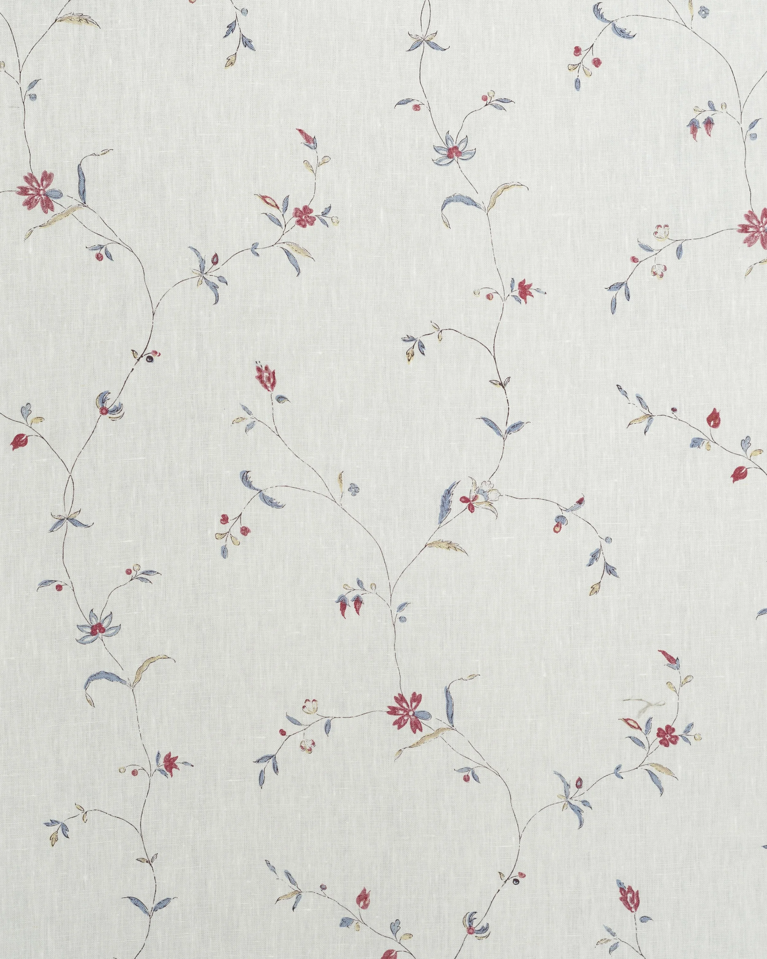 Sarassa - Blue Red on Oyster